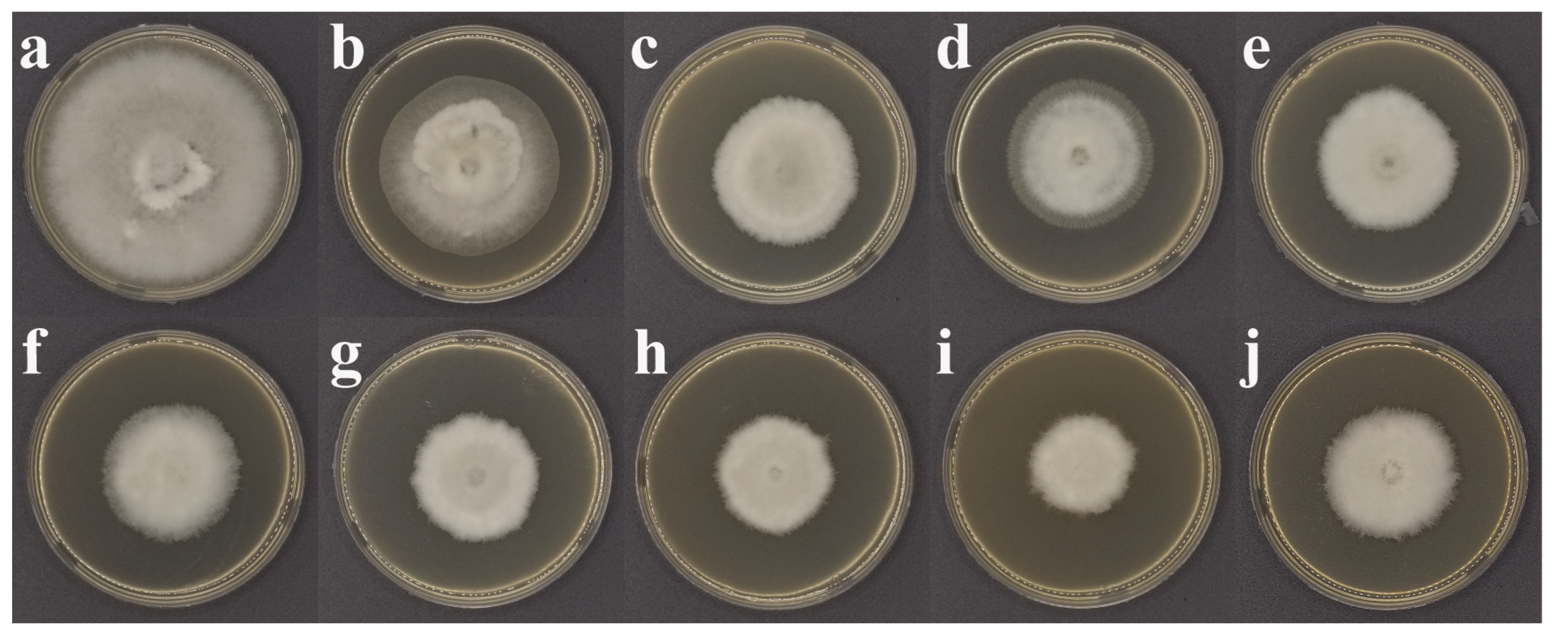 Agronomy 15 00683 g003