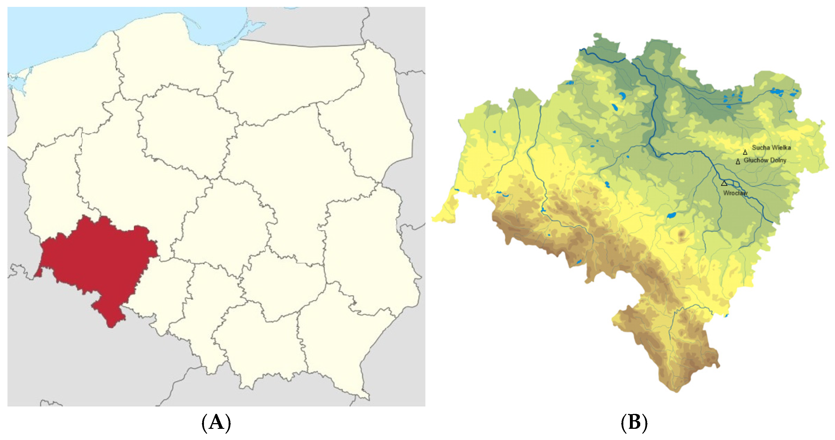 Agronomy 15 00715 g001