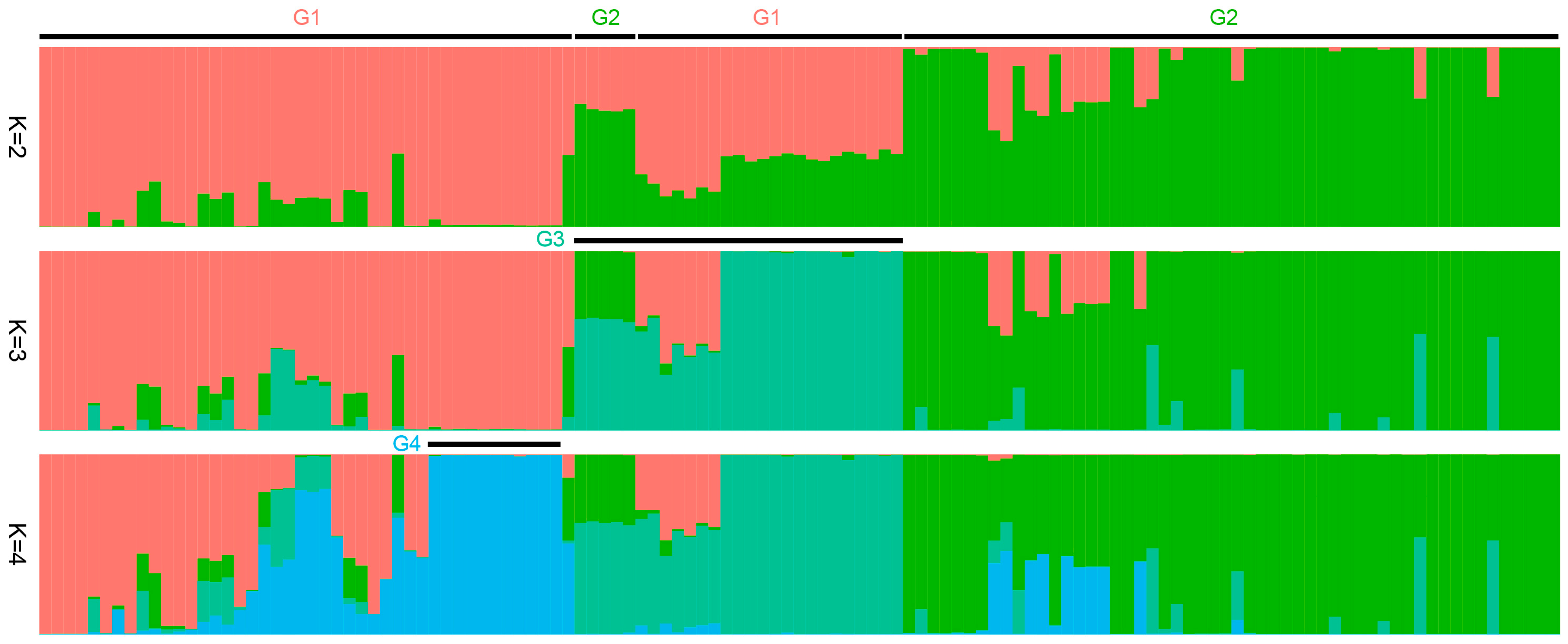 Agronomy 15 00722 g003