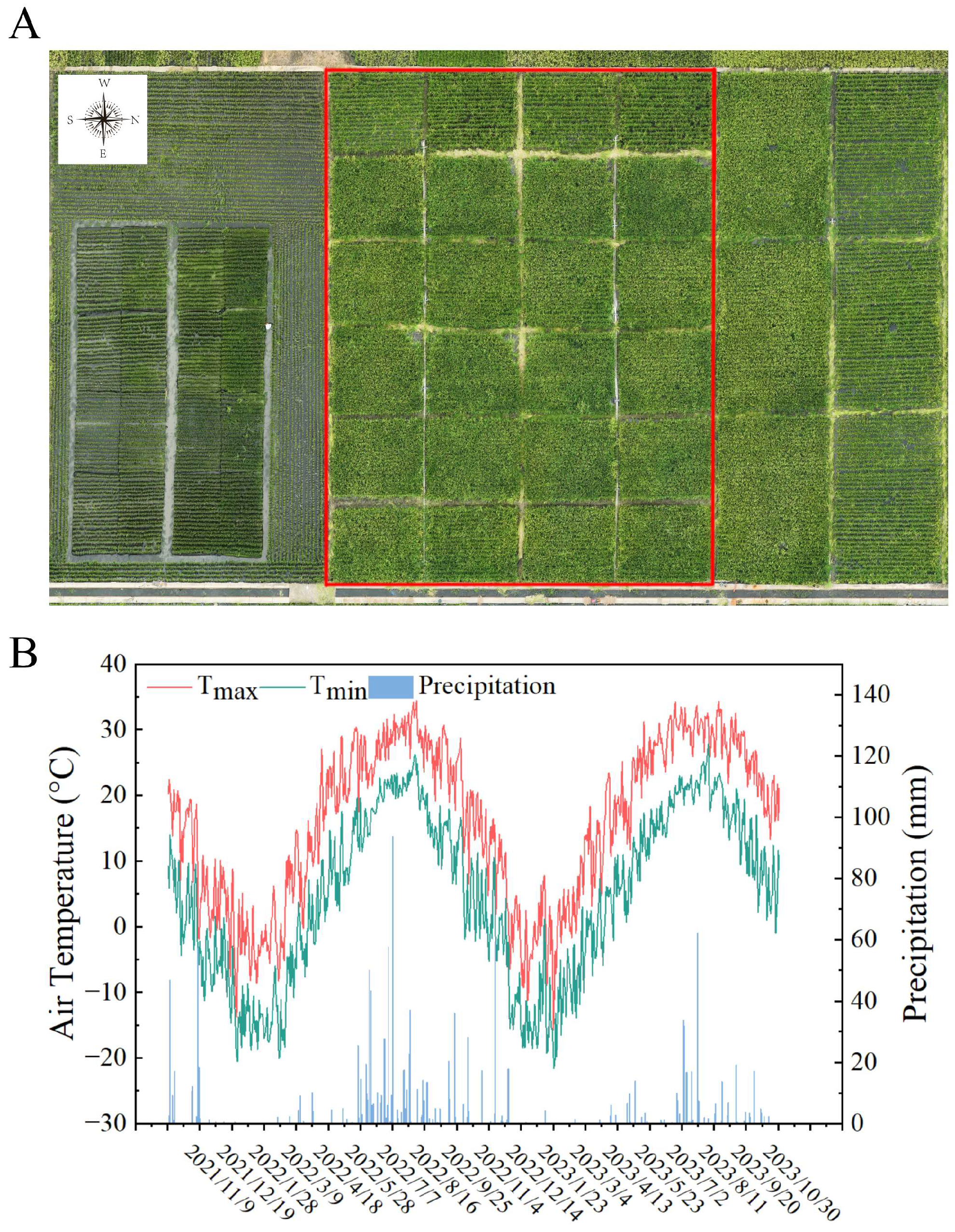 Agronomy 15 00729 g001