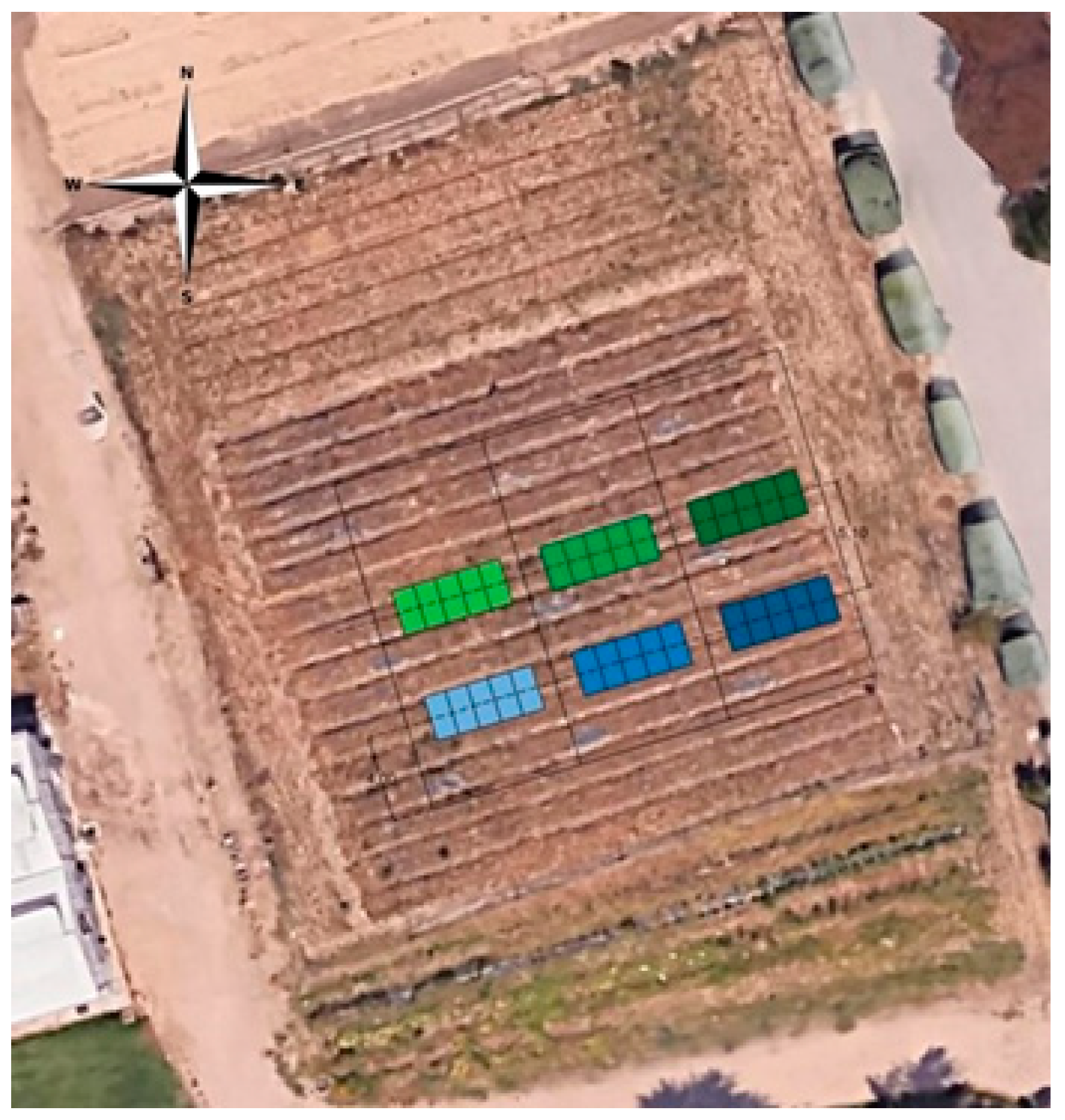 Agronomy 15 00730 g002