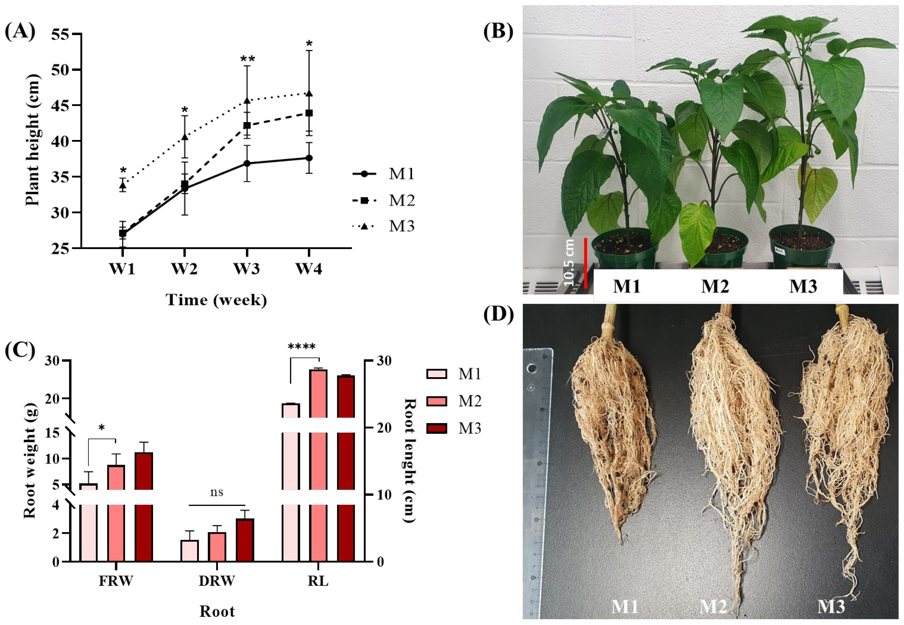 Agronomy 15 00732 g003