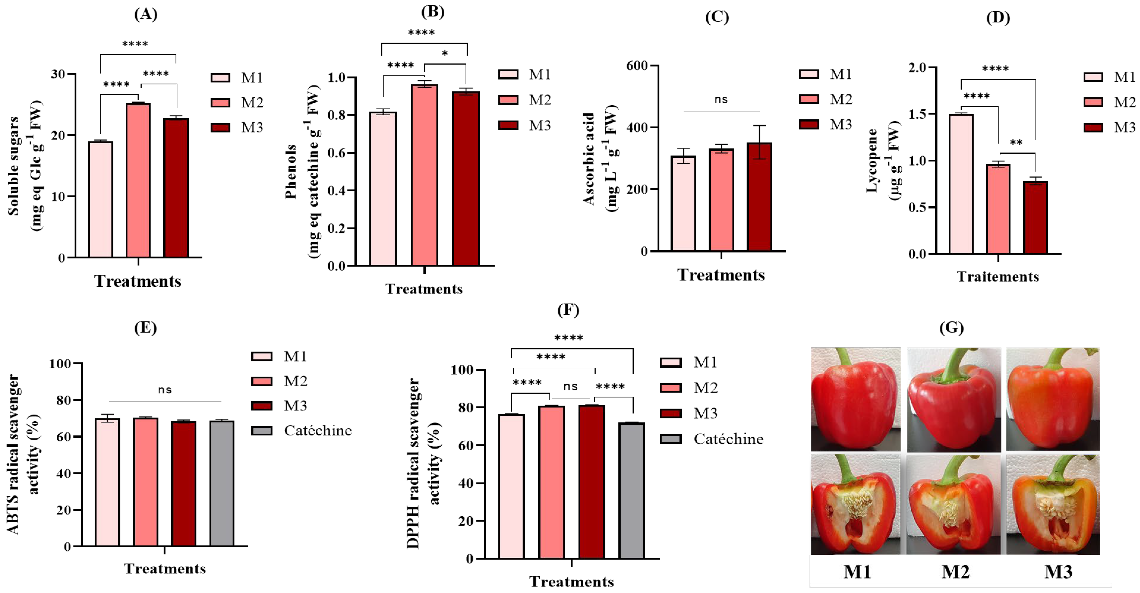 Agronomy 15 00732 g006