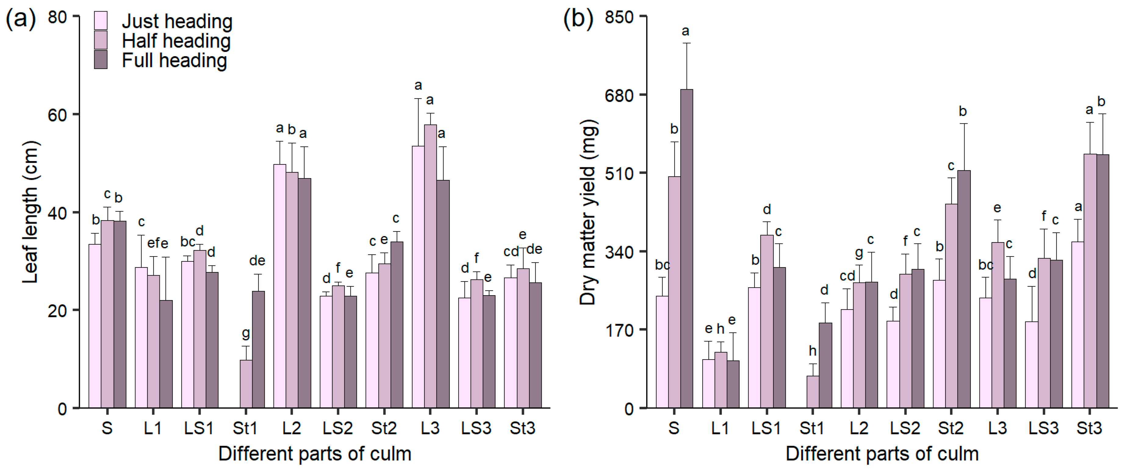Agronomy 15 00763 g001 Agronomy 15 00763 g001