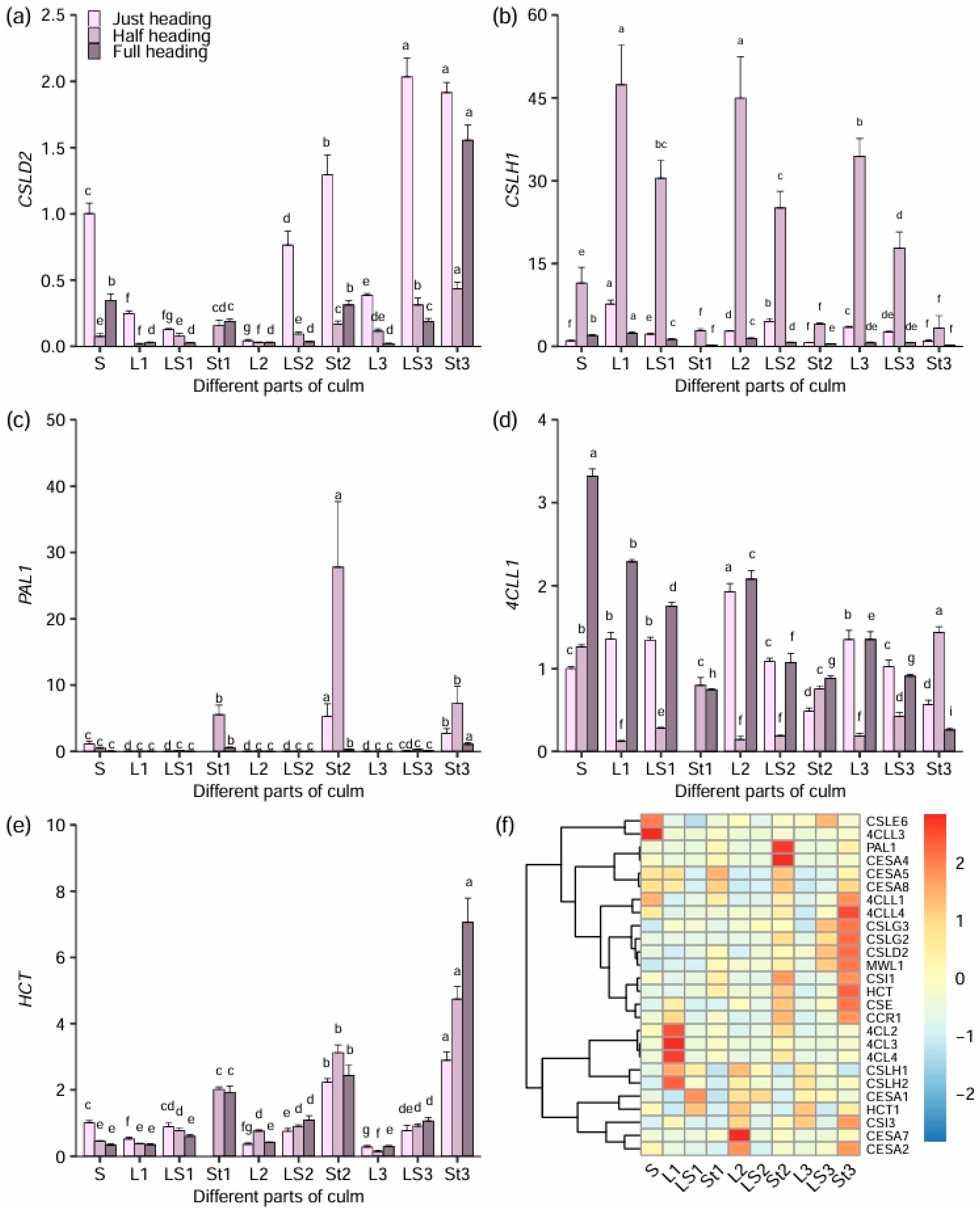 Agronomy 15 00763 g007 Agronomy 15 00763 g007