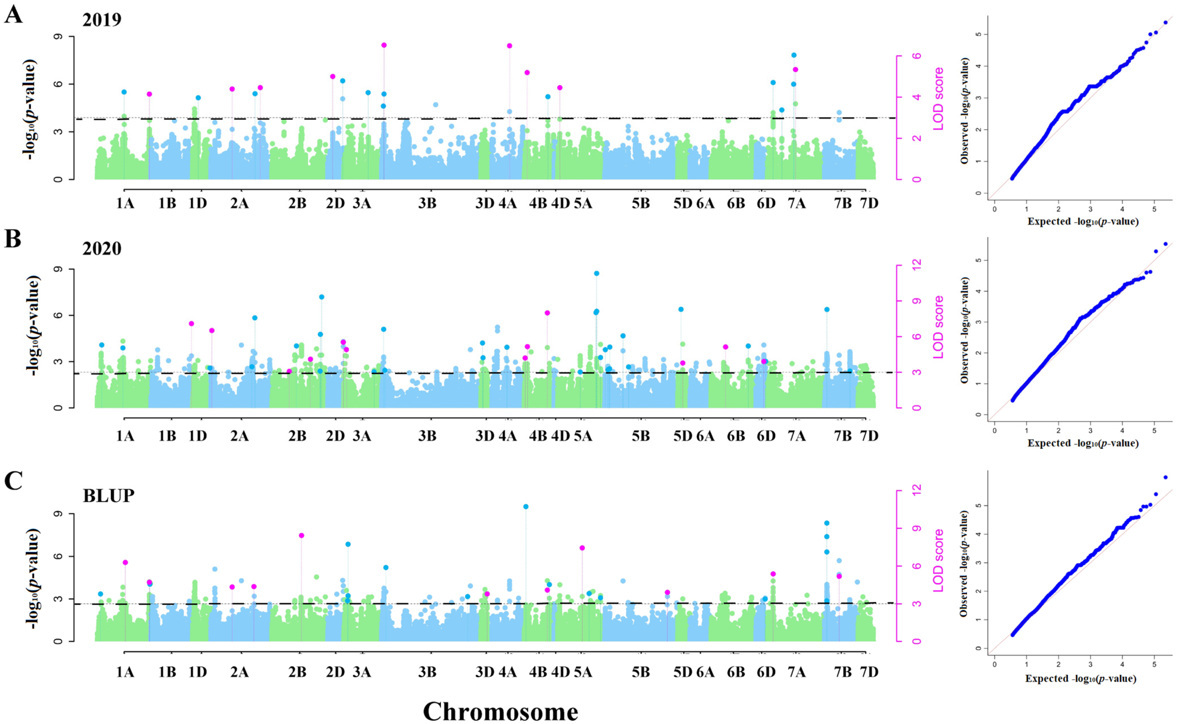 Agronomy 15 00792 g002