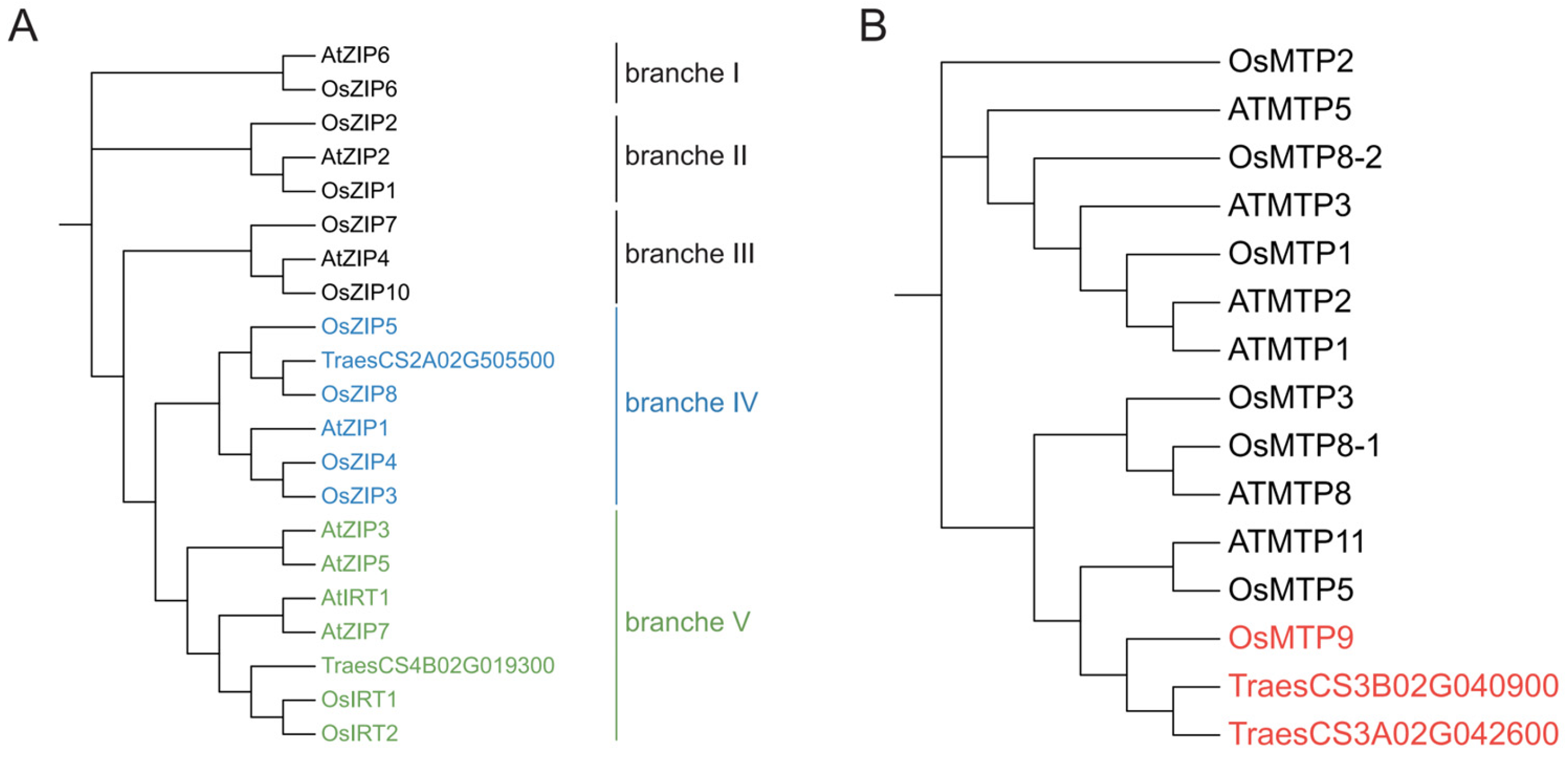 Agronomy 15 00792 g003