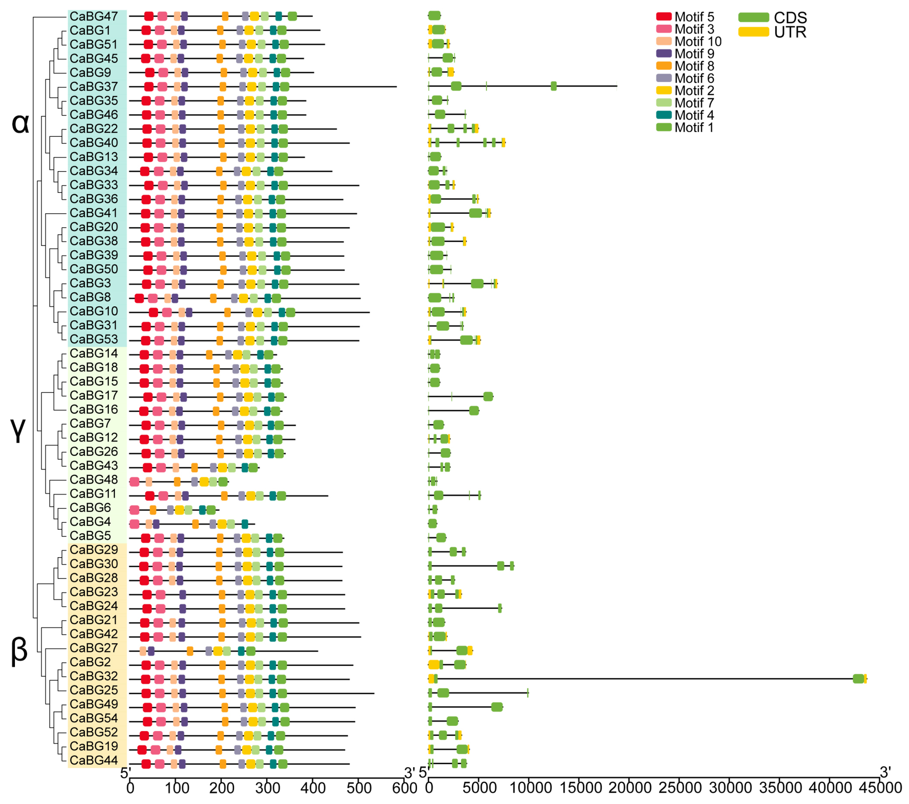 Agronomy 15 00802 g003