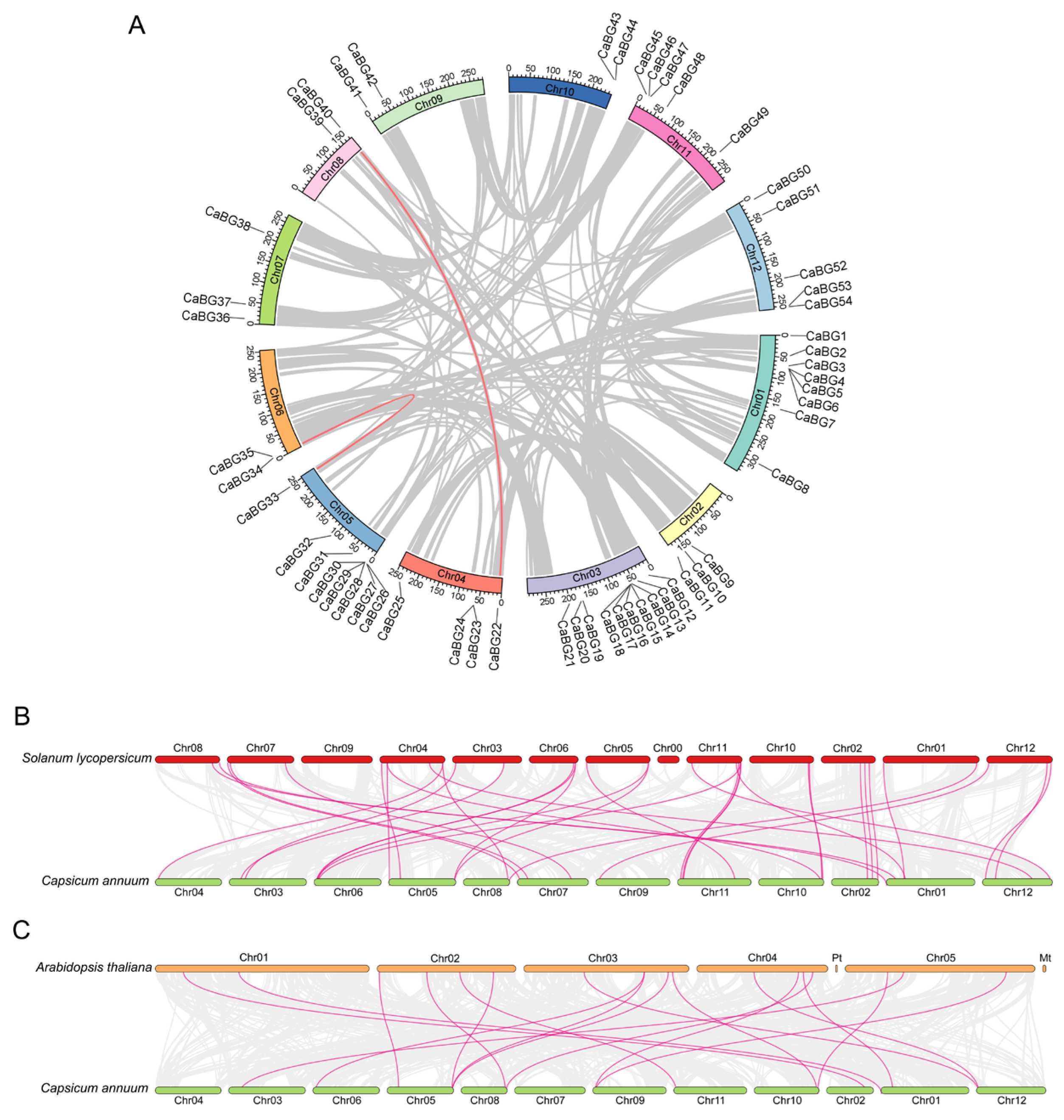 Agronomy 15 00802 g004