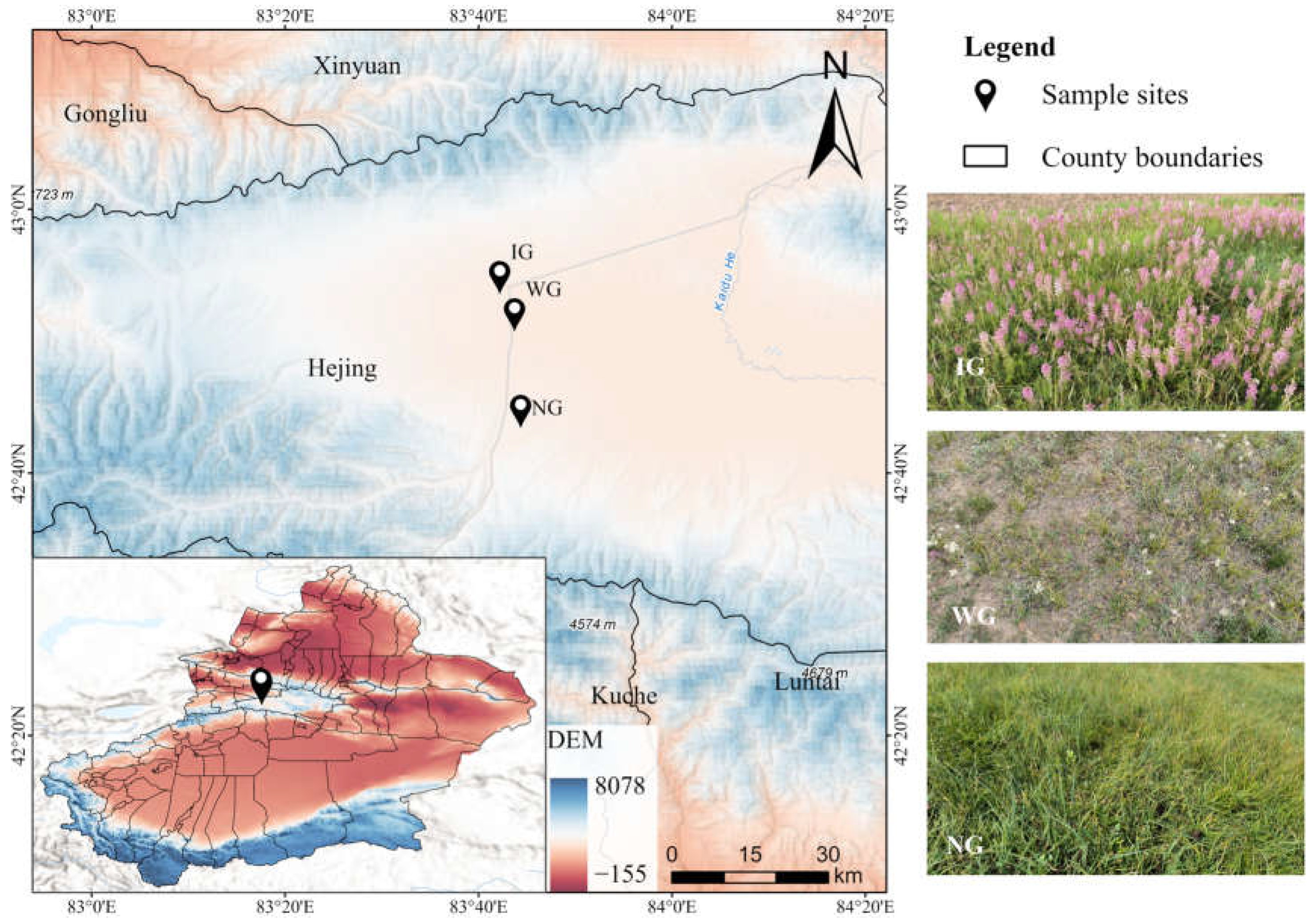 Agronomy 15 00810 g001