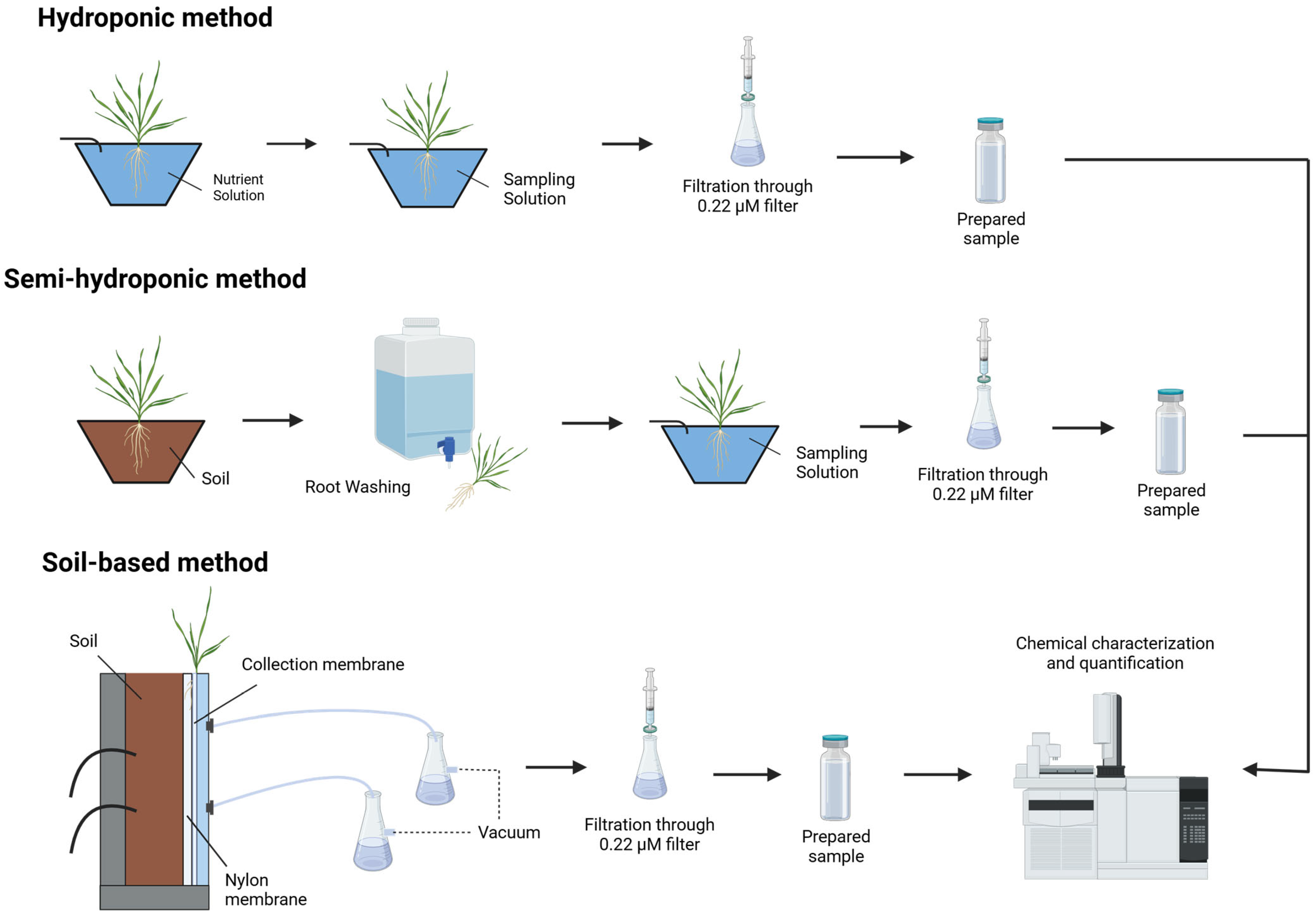 Agronomy 15 00845 g001