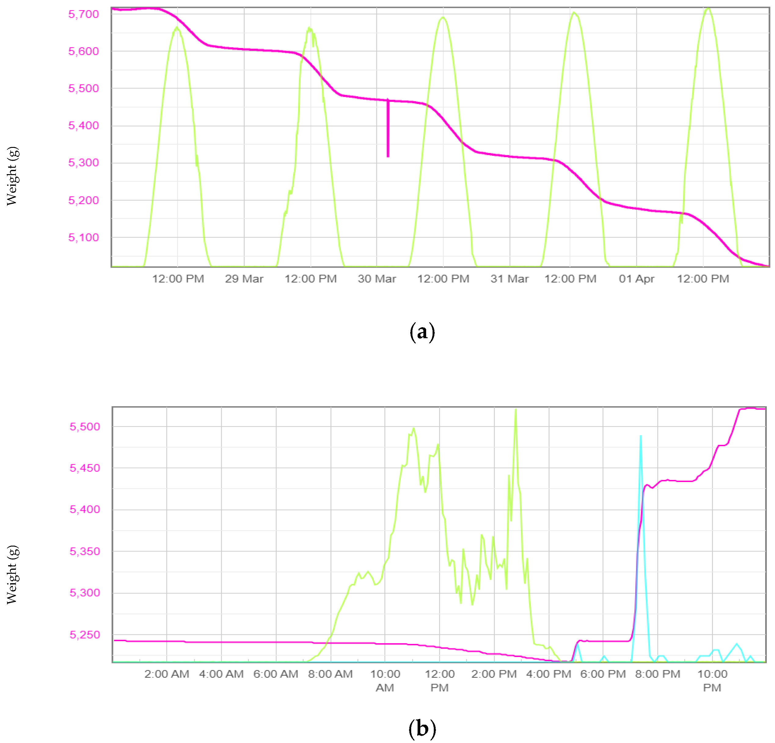 Agronomy 15 00848 g002