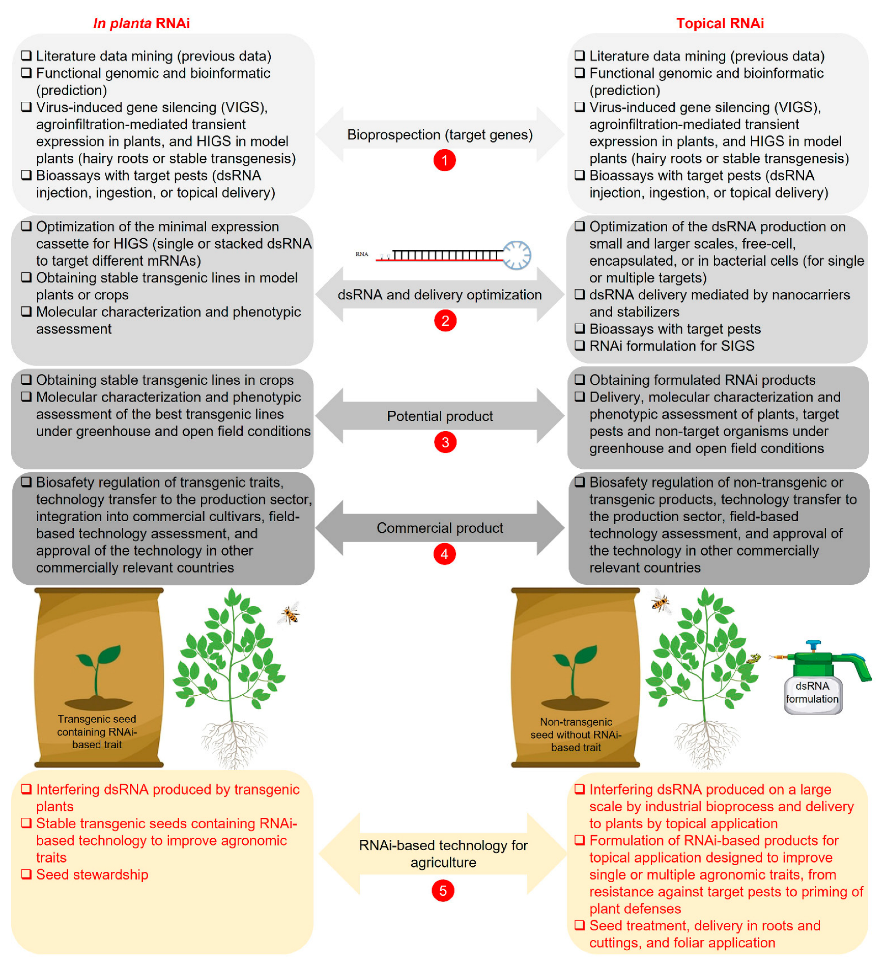 Agronomy 15 00859 g004