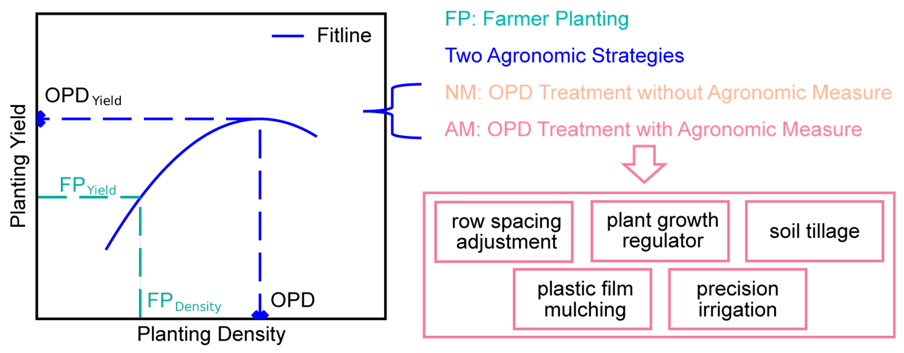 Agronomy 15 00861 g002