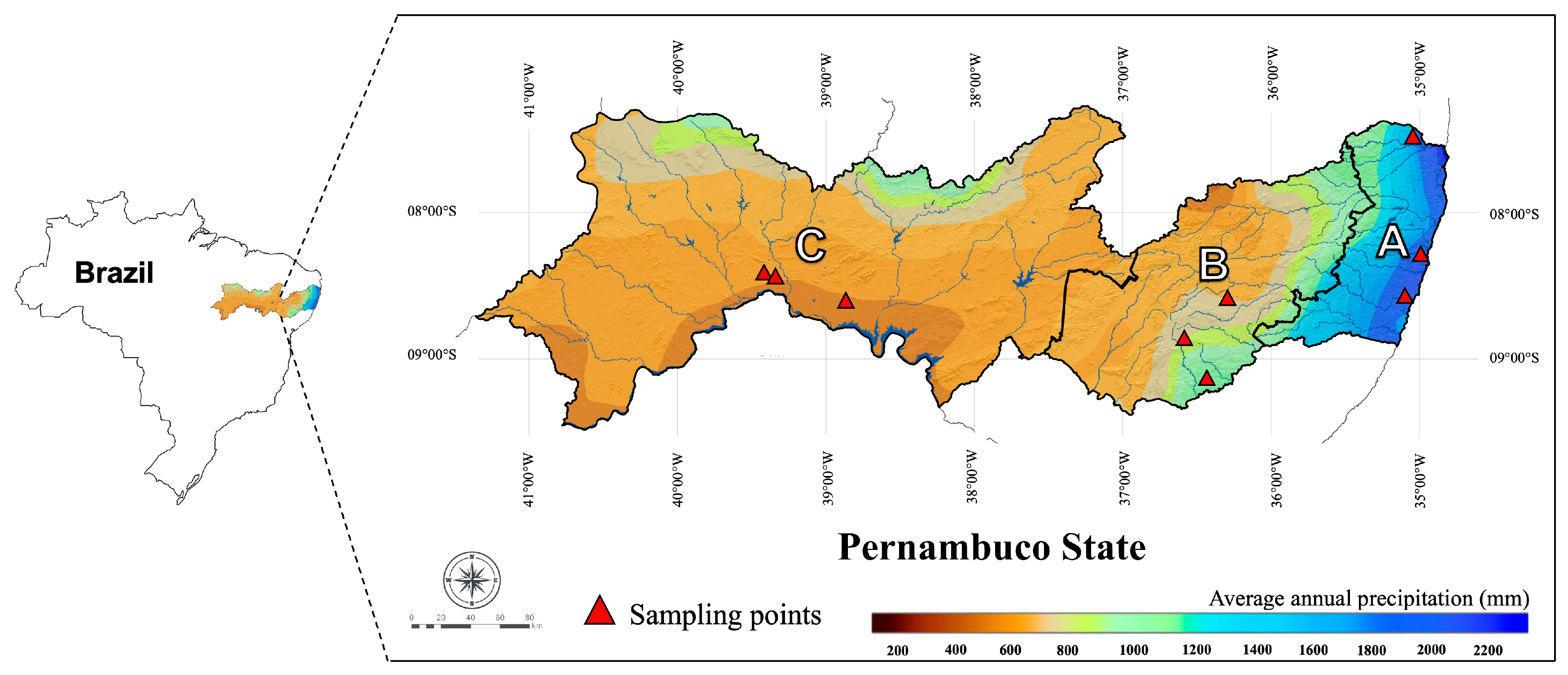 Agronomy 15 00864 g001