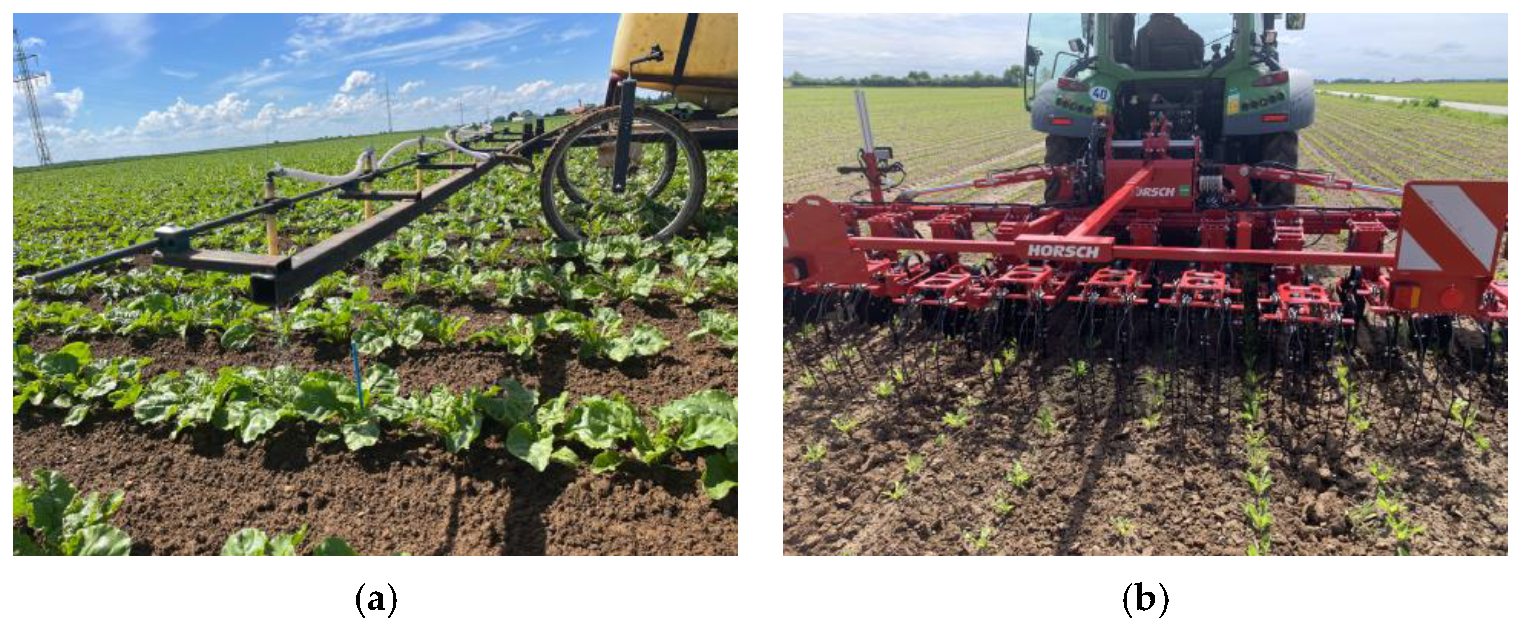 Agronomy 15 00879 g001