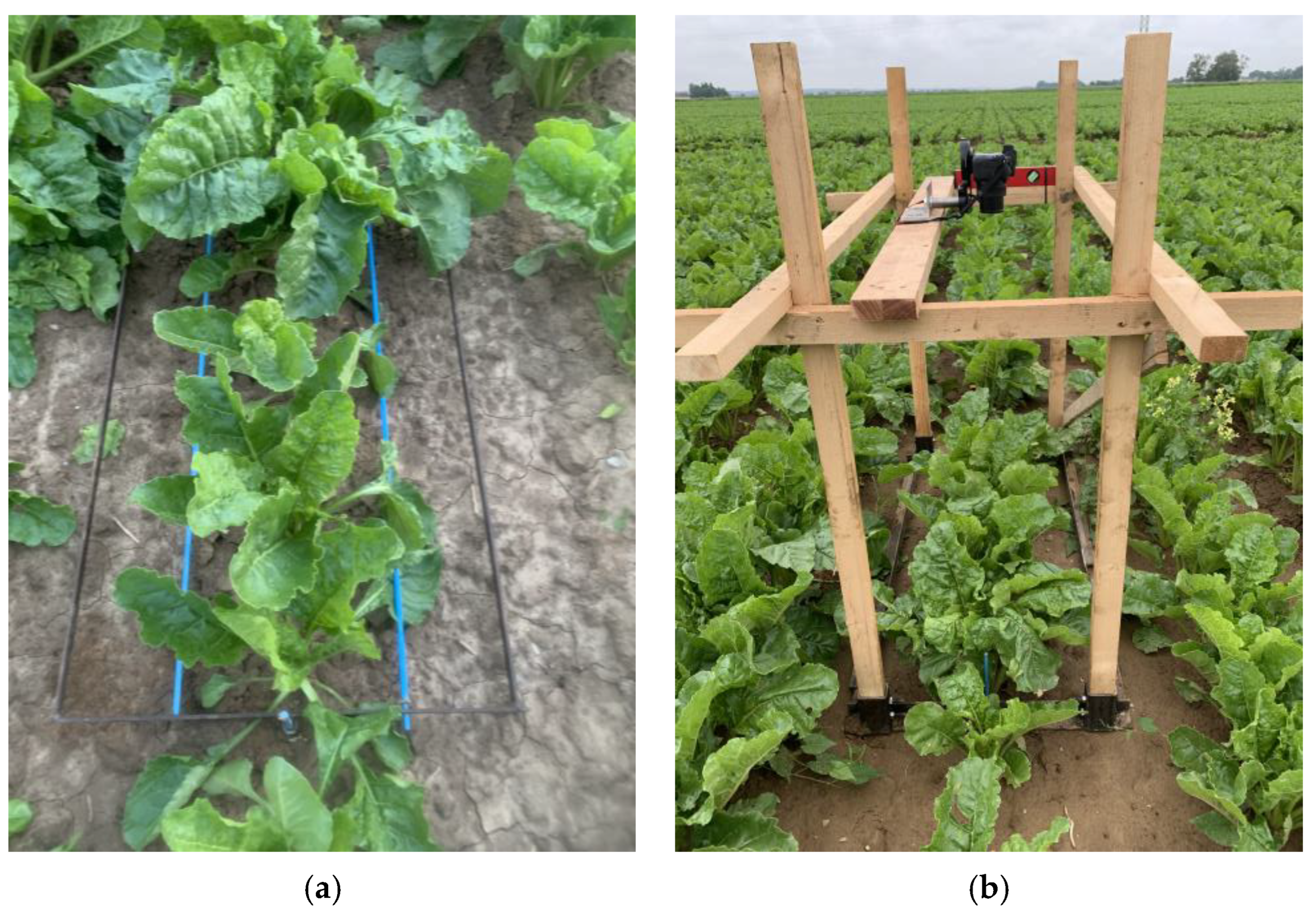 Agronomy 15 00879 g002