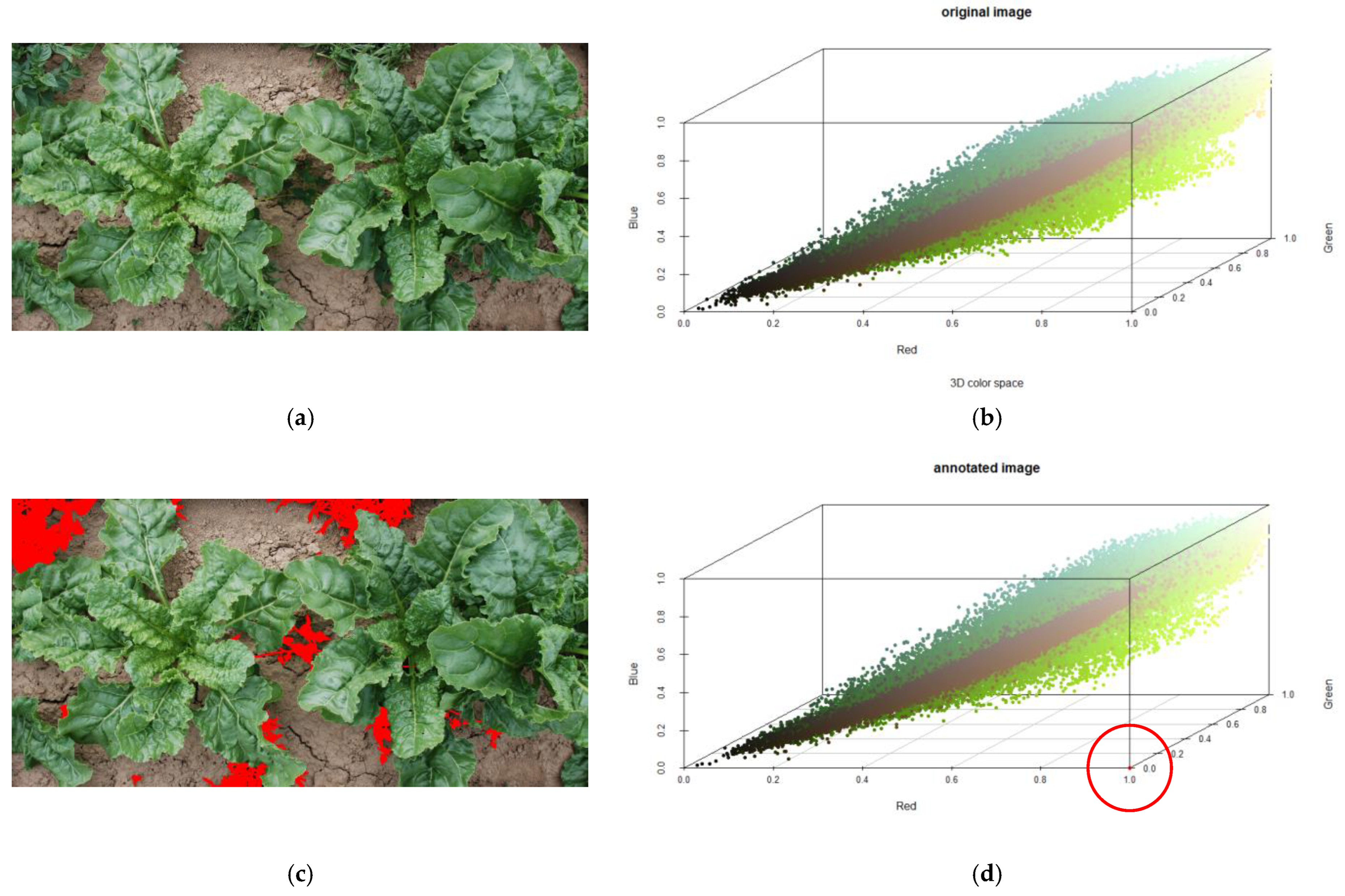 Agronomy 15 00879 g003