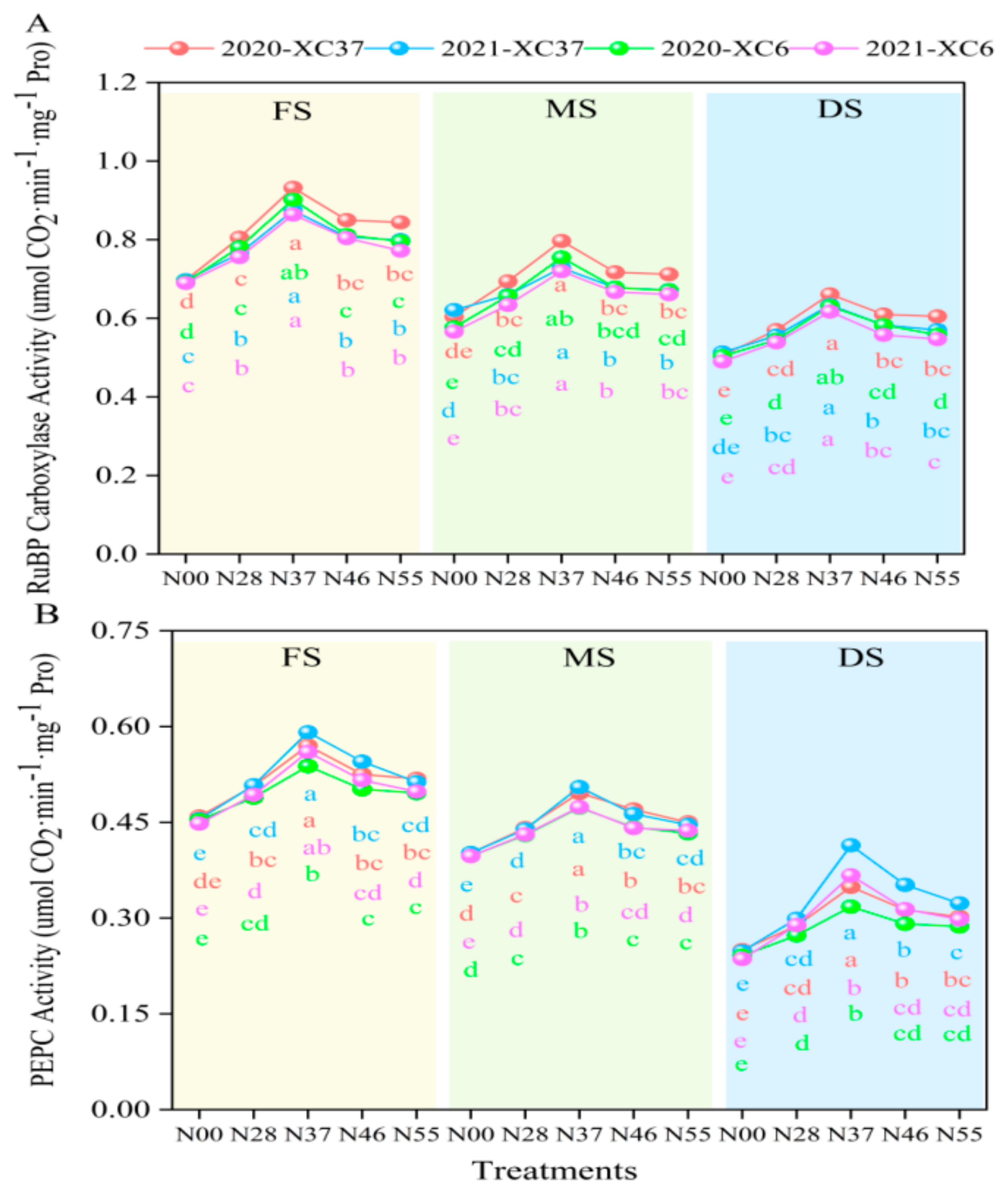 Agronomy 15 00899 g005