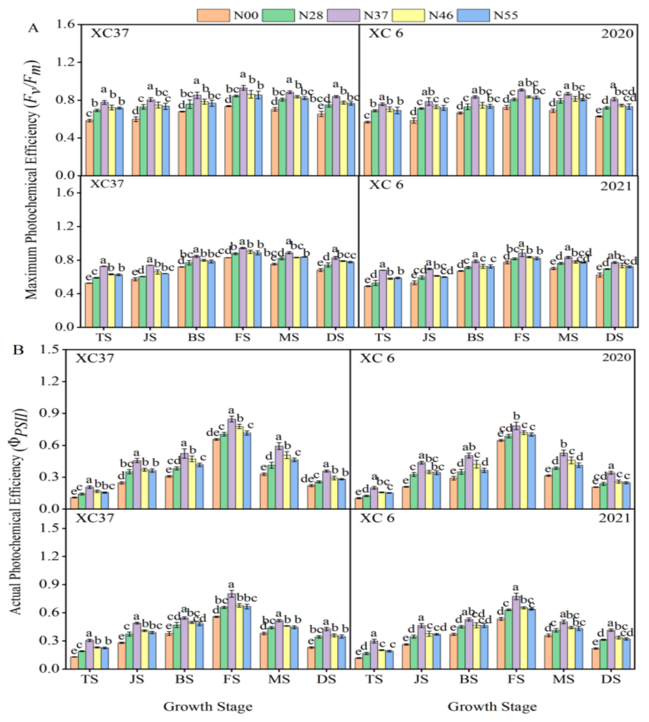 Agronomy 15 00899 g007