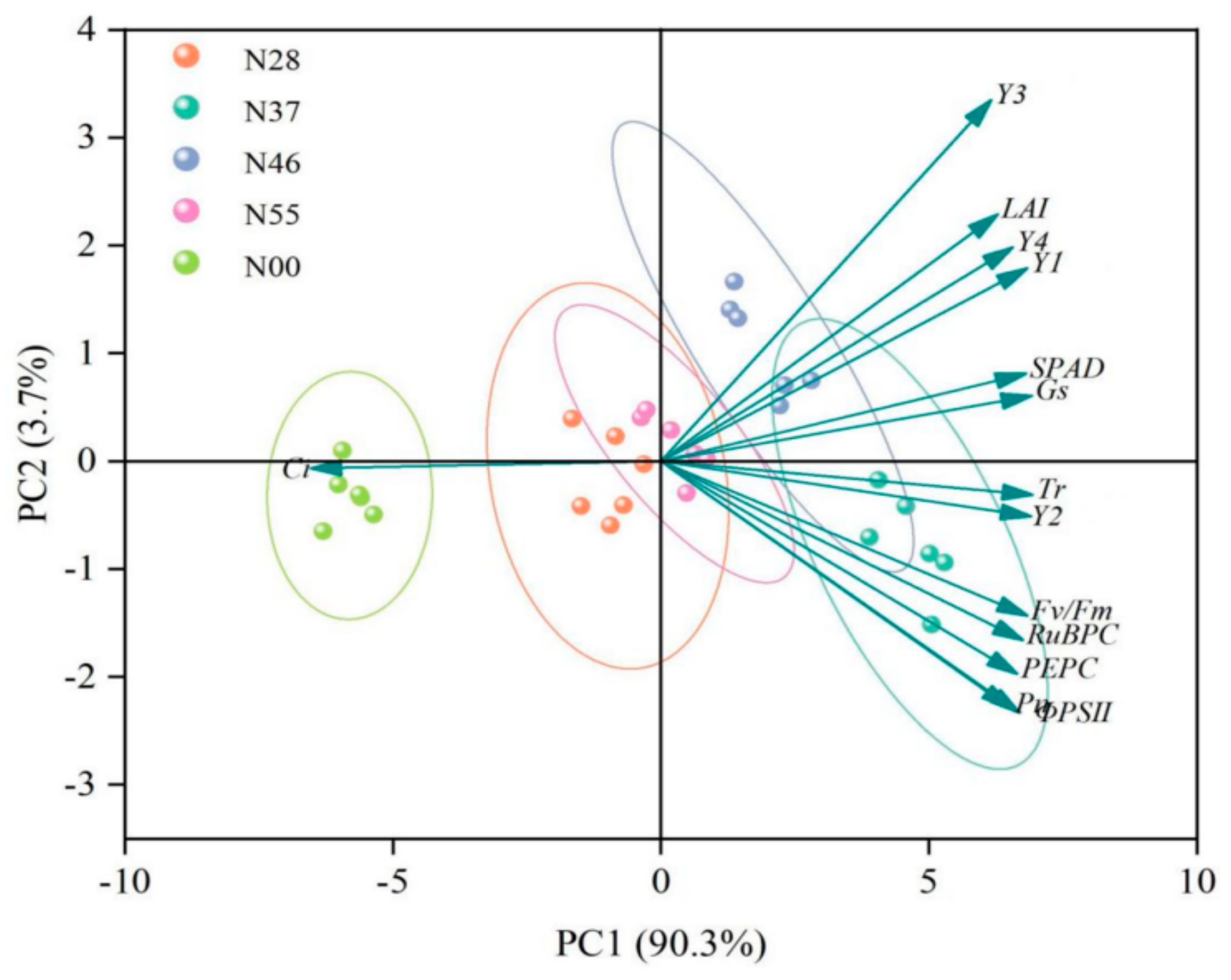 Agronomy 15 00899 g009