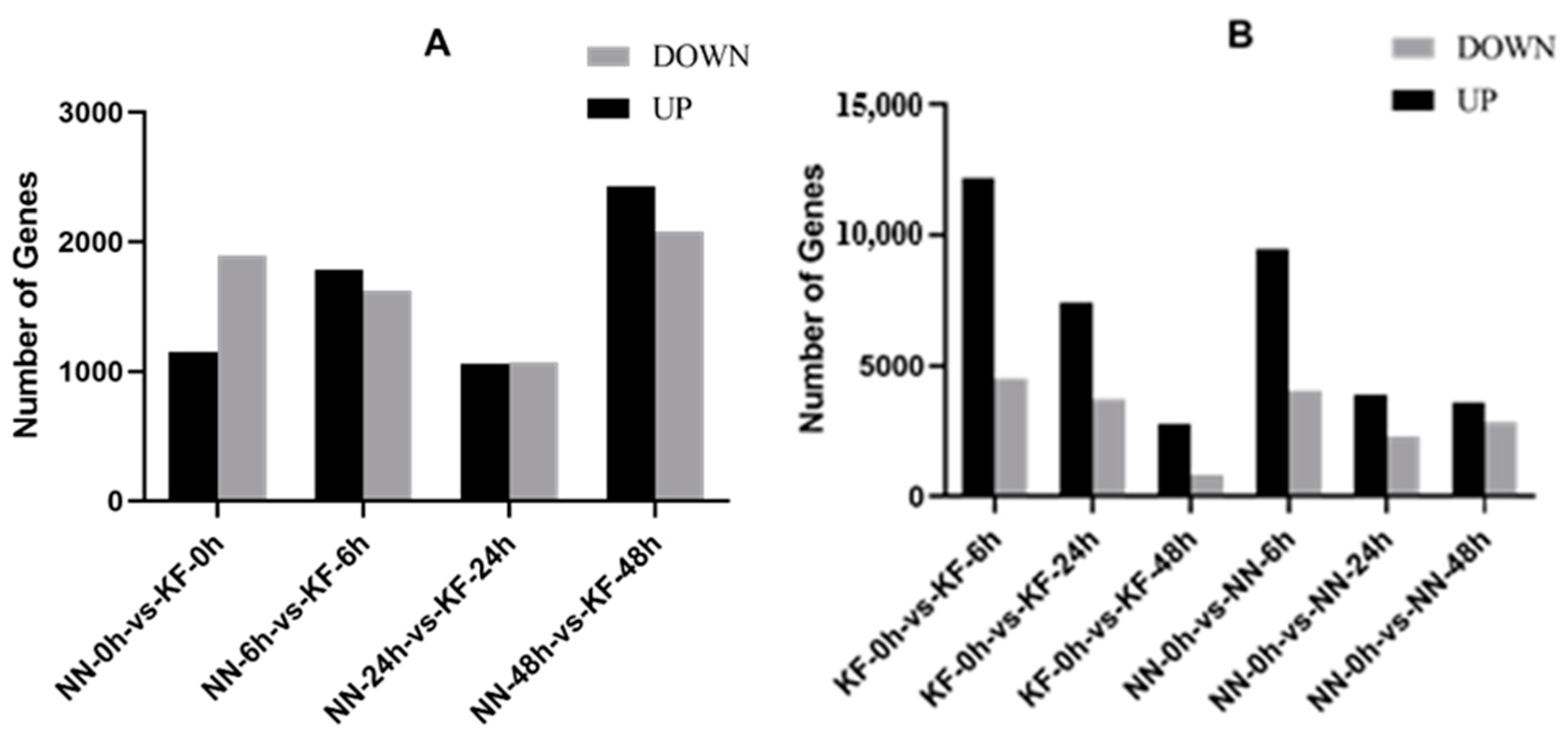 Agronomy 15 00906 g001