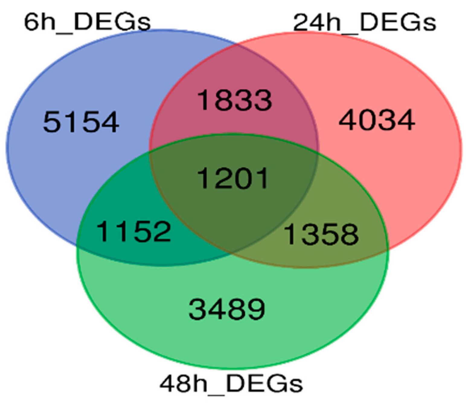 Agronomy 15 00906 g002