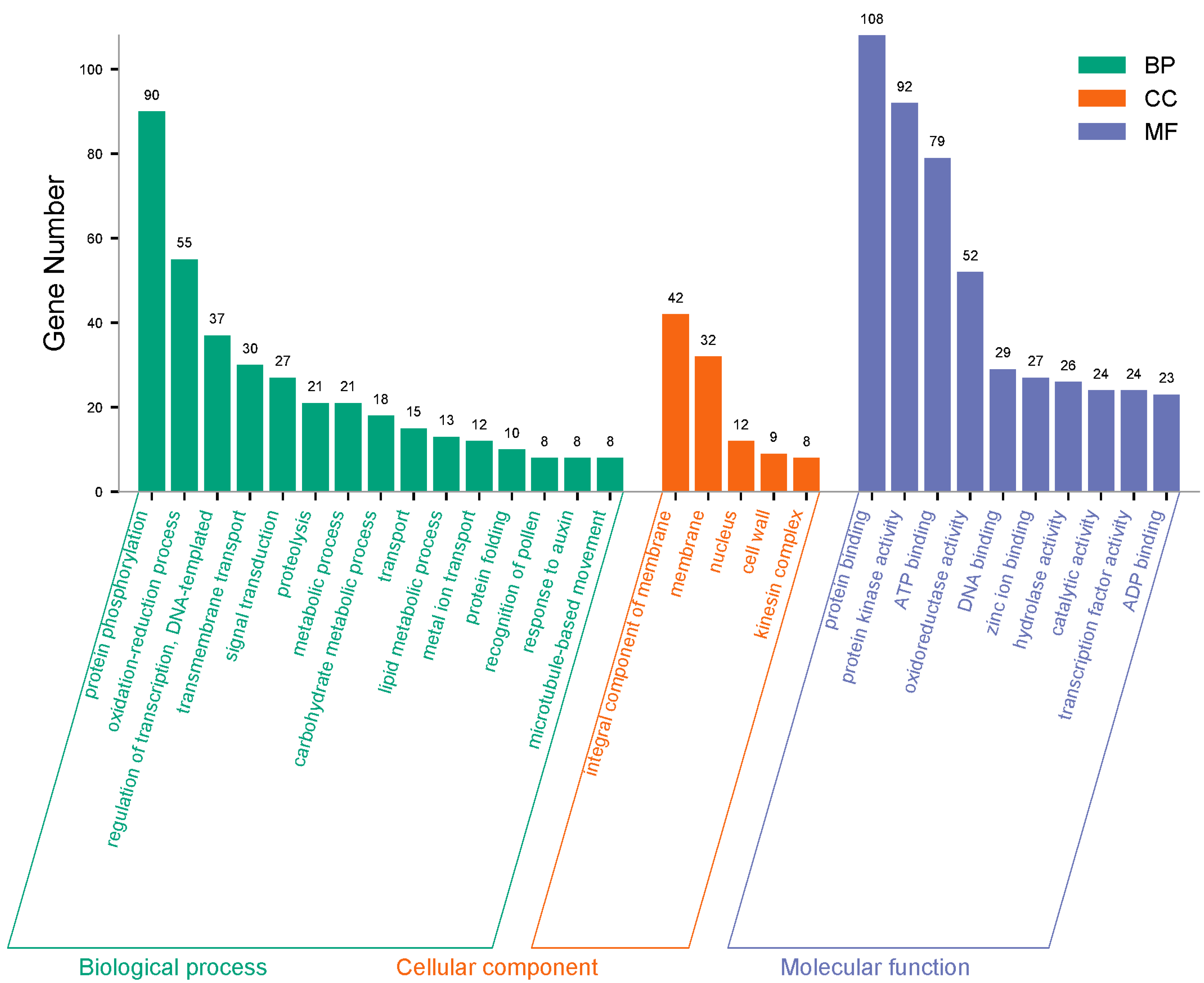 Agronomy 15 00906 g004