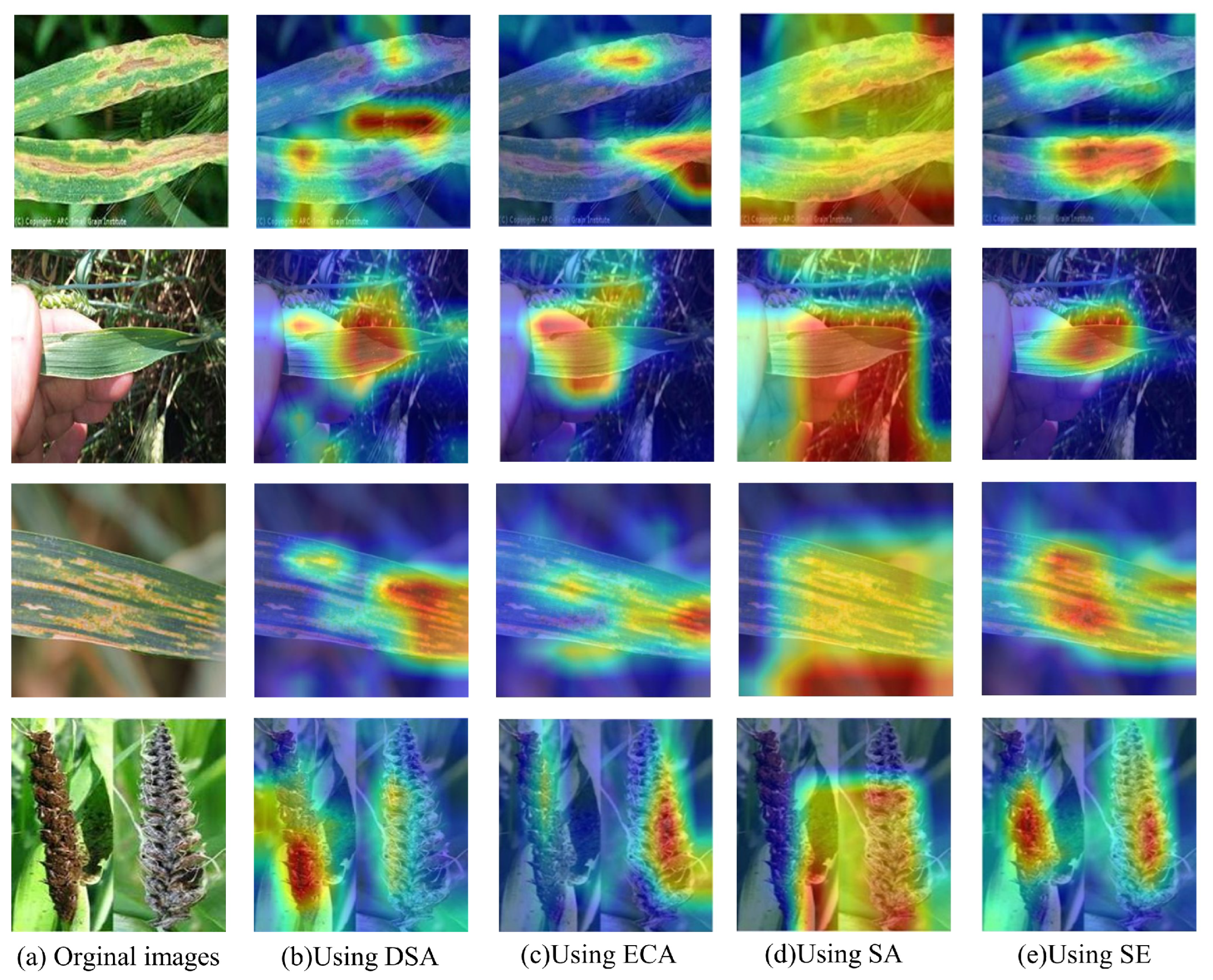 Agronomy 15 00910 g008