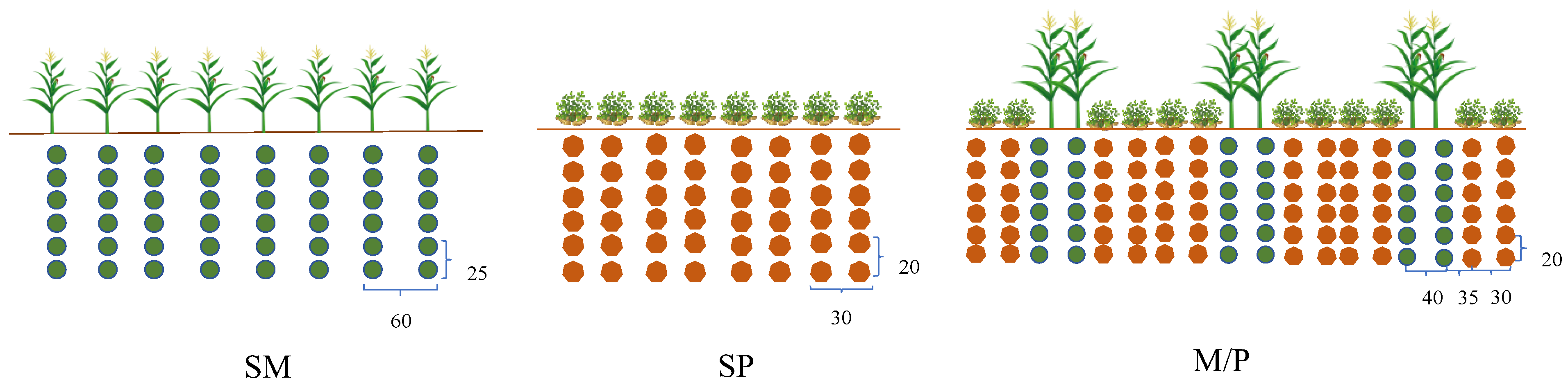 Agronomy 15 00913 g002