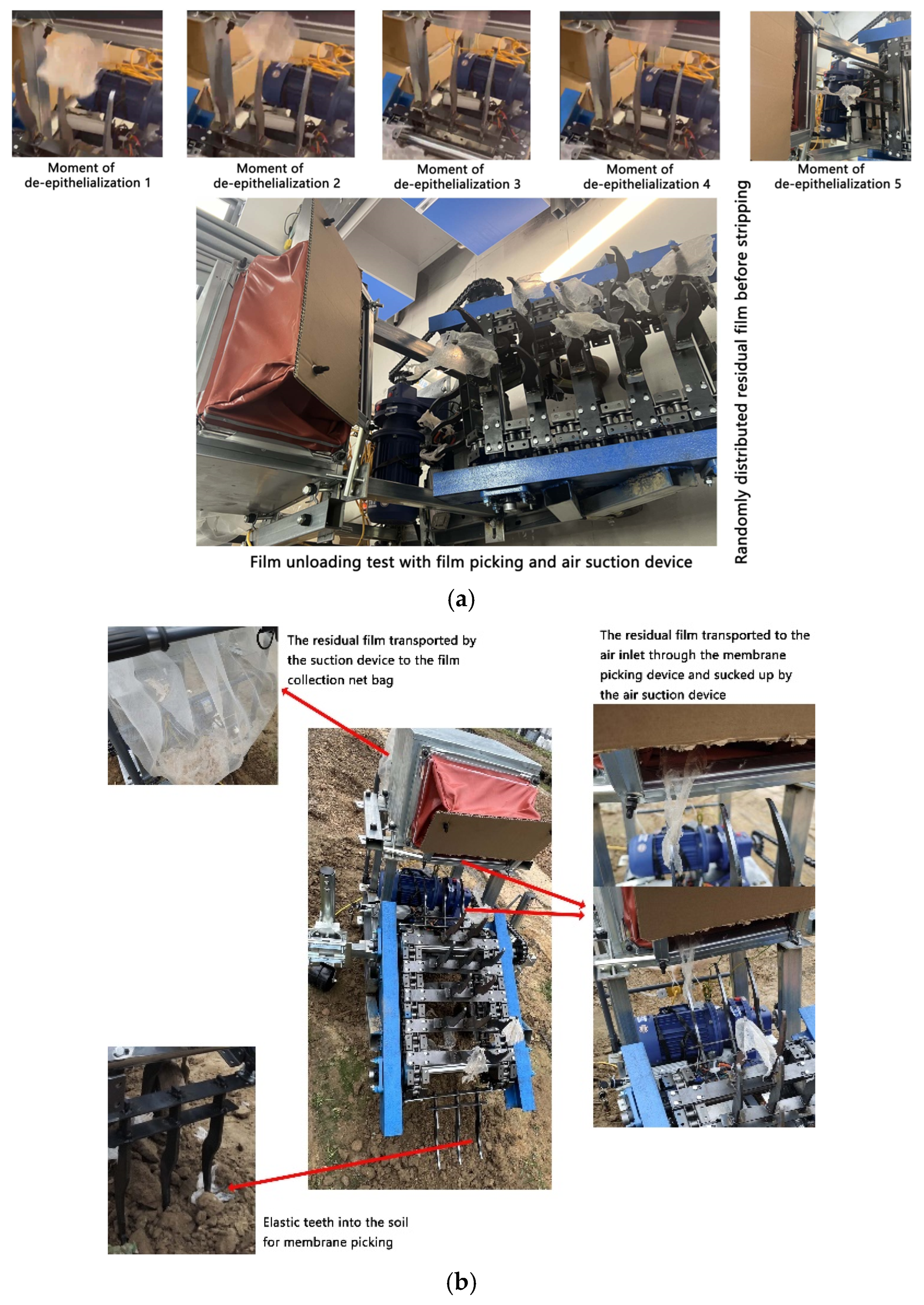 Agronomy 15 00955 g013