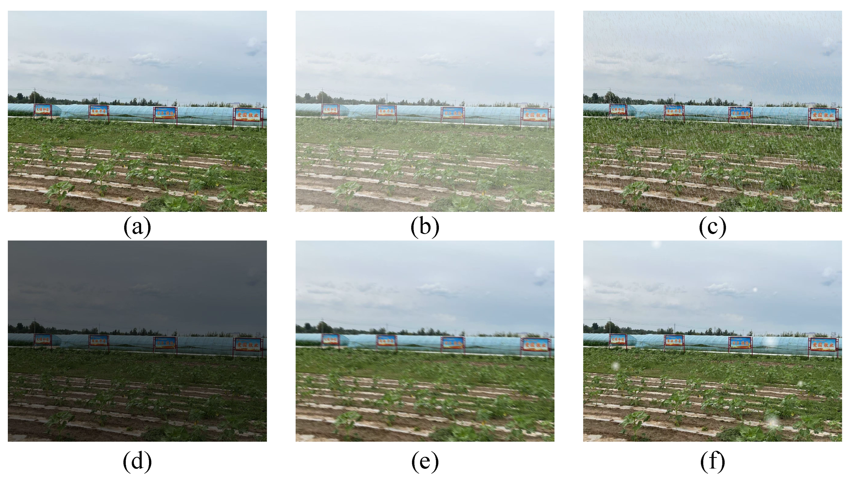 Agronomy 15 00964 g002