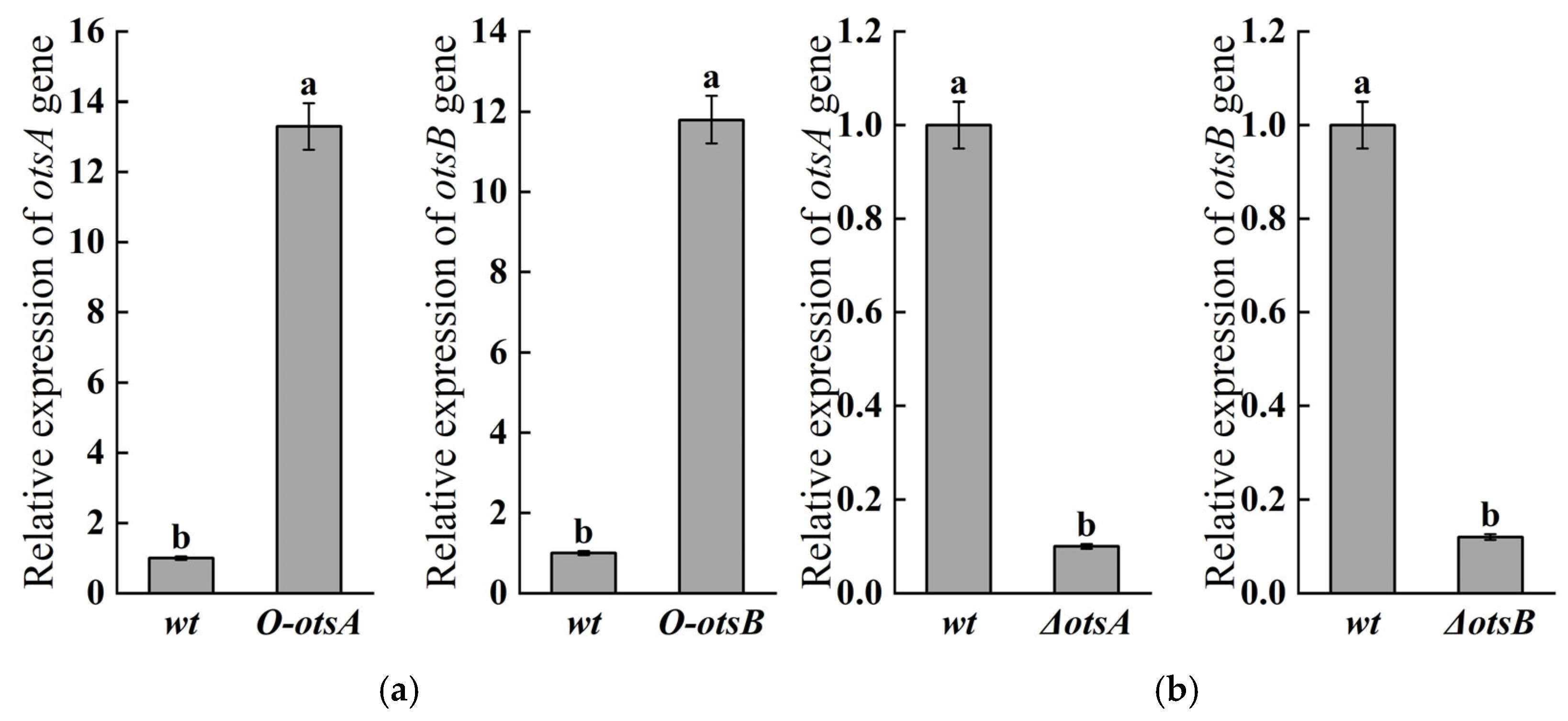 Agronomy 15 00974 g001