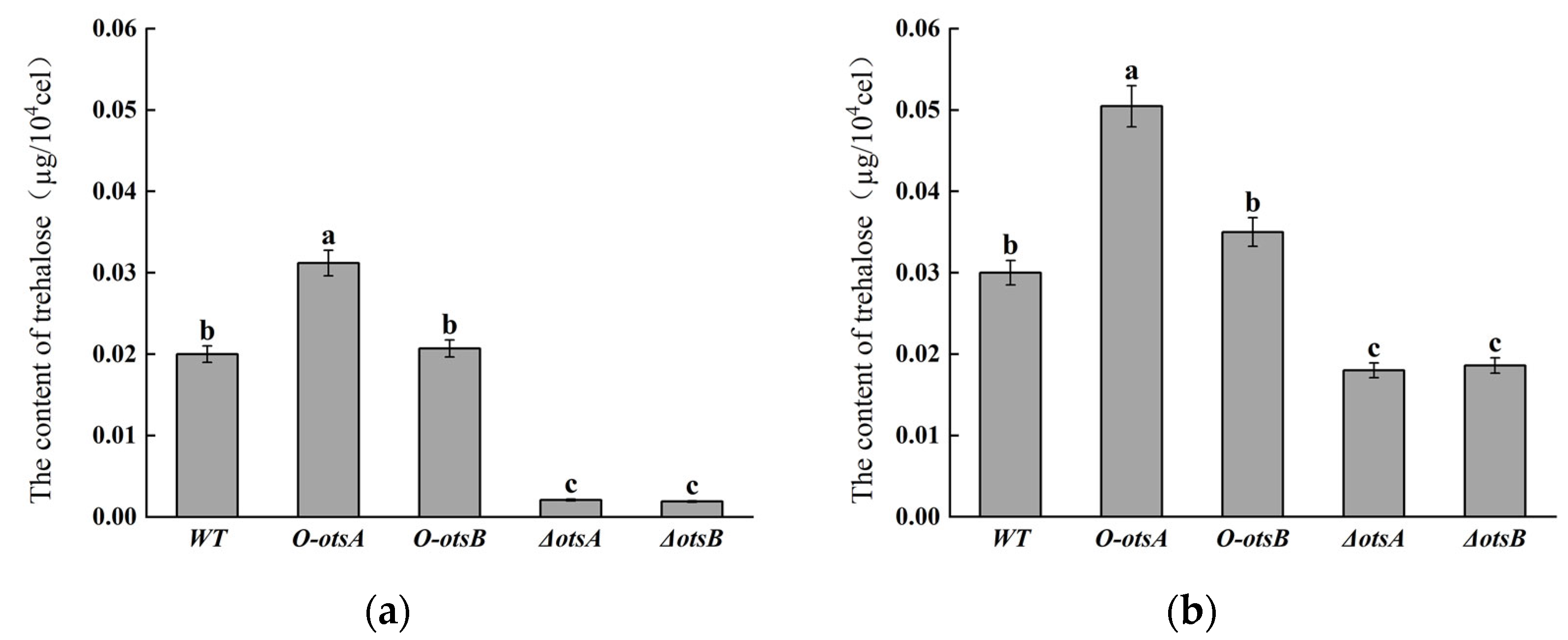 Agronomy 15 00974 g003