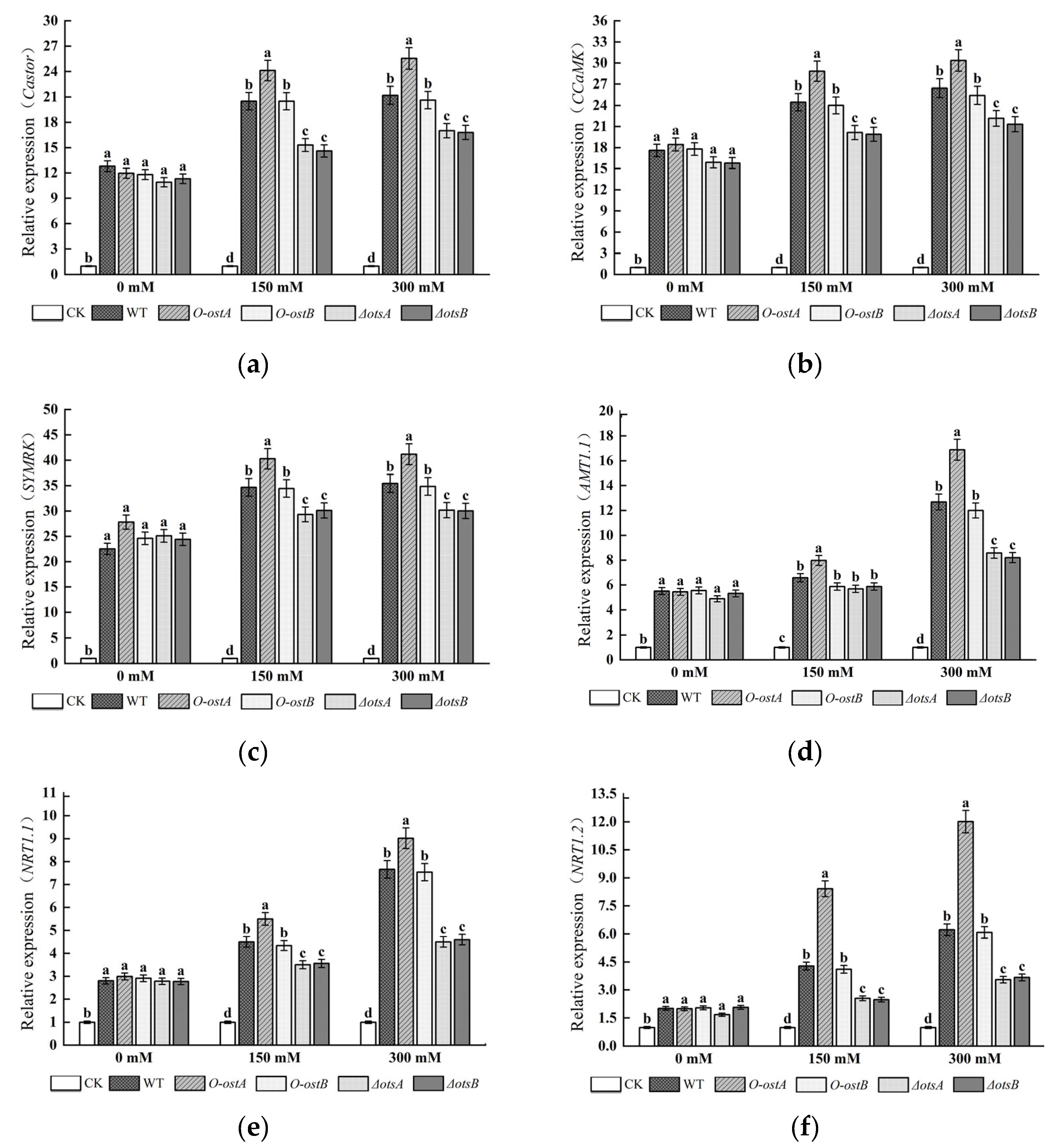 Agronomy 15 00974 g006
