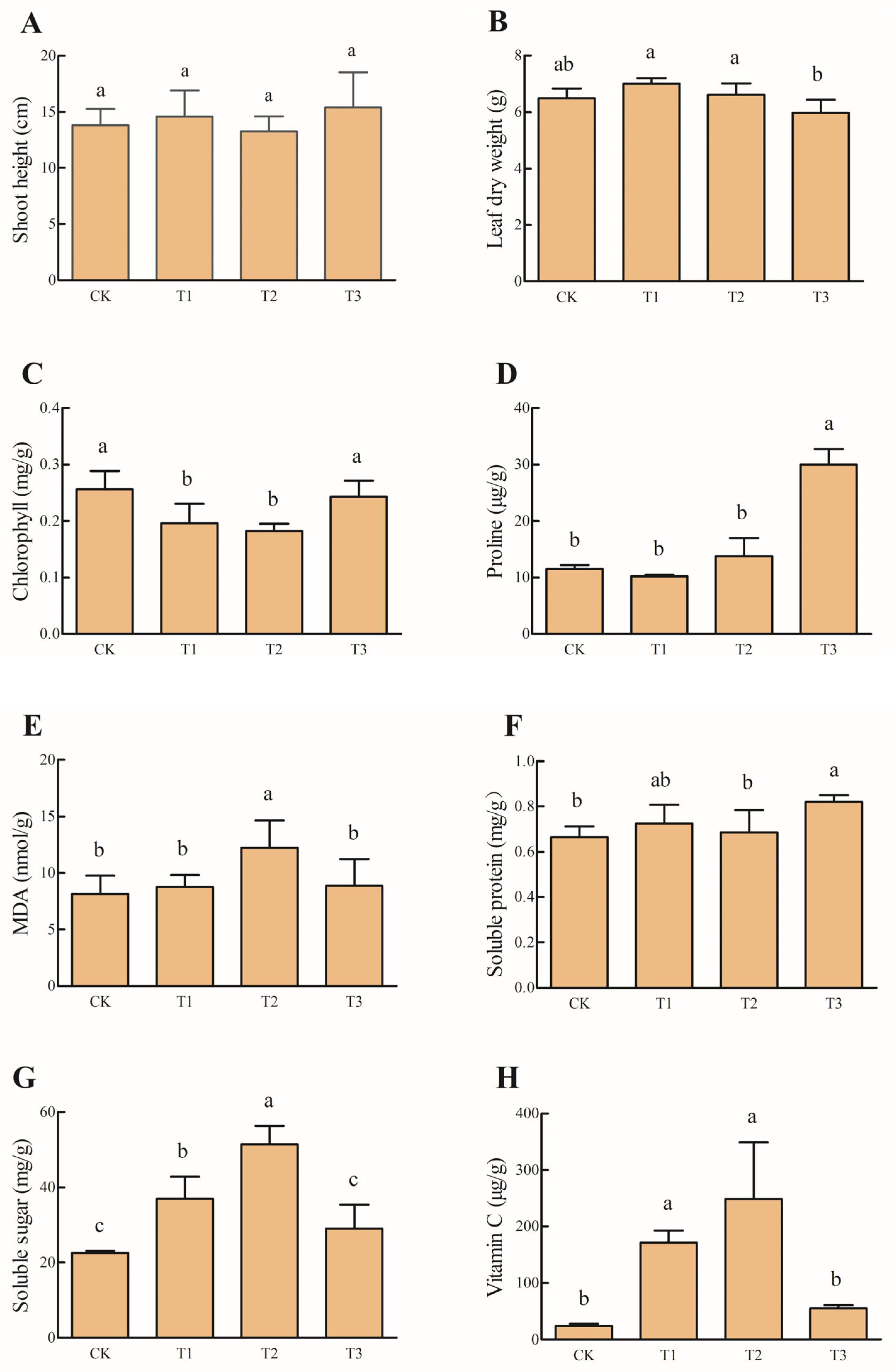 Agronomy 15 00990 g001