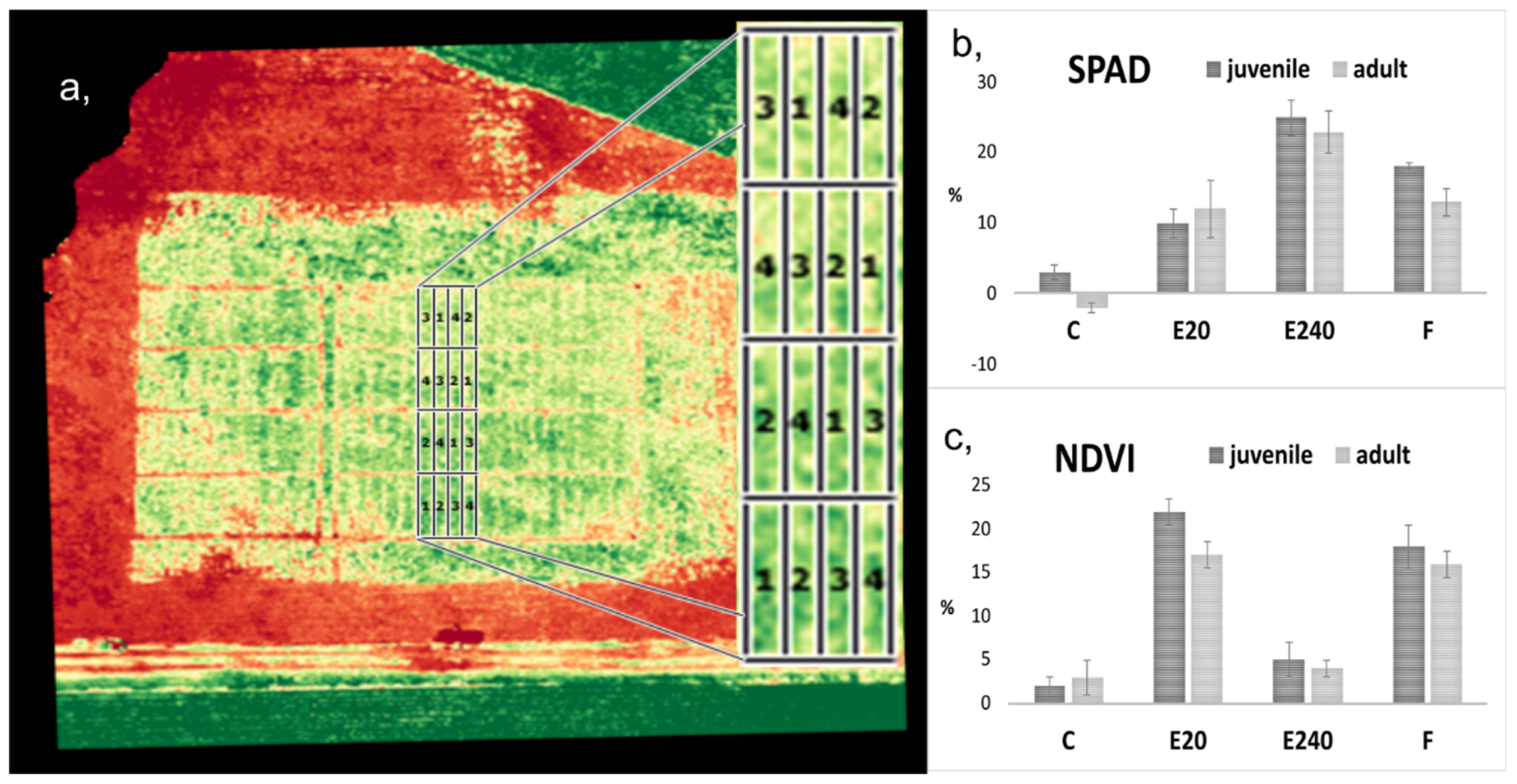 Agronomy 15 00991 g005