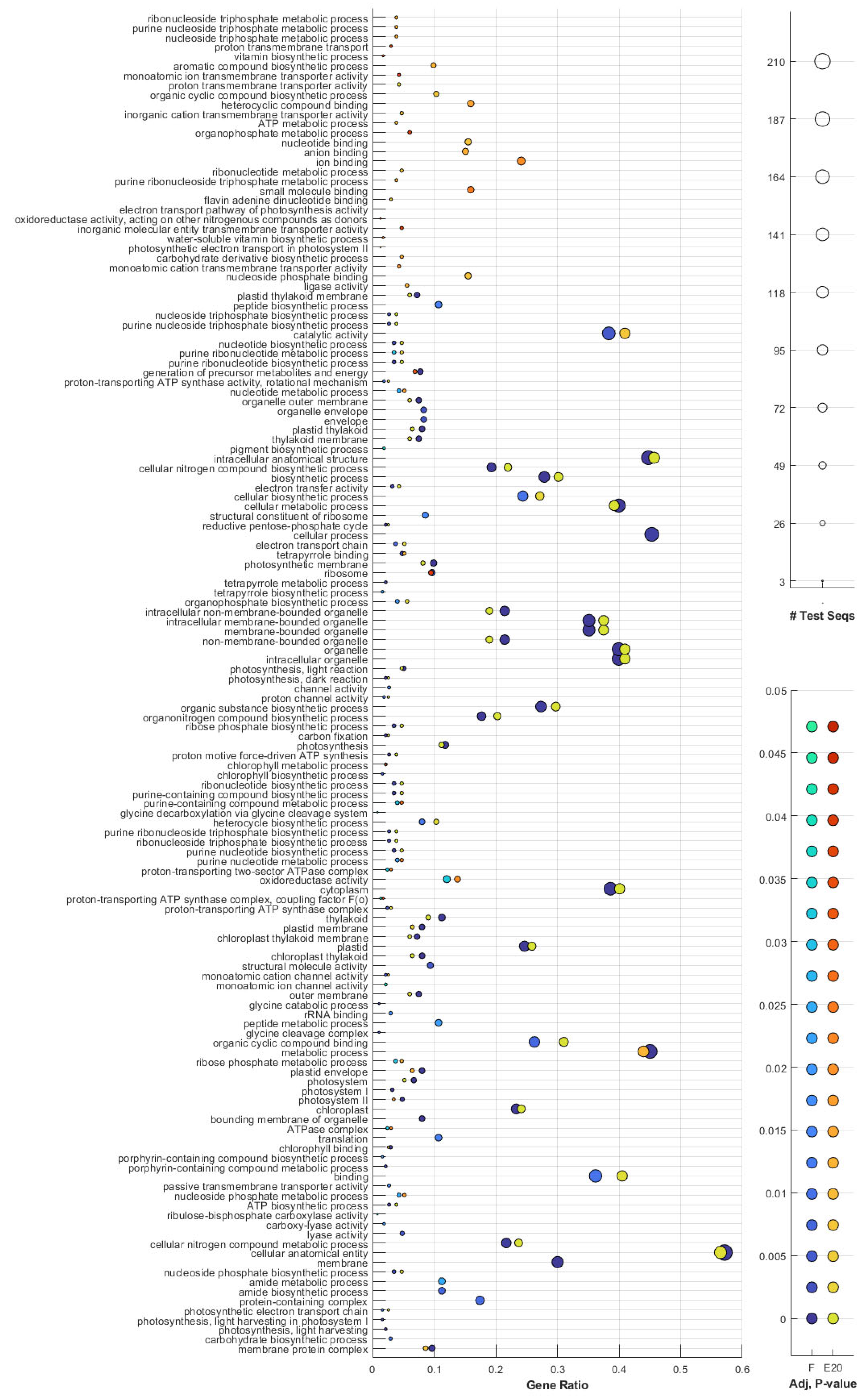 Agronomy 15 00991 g008