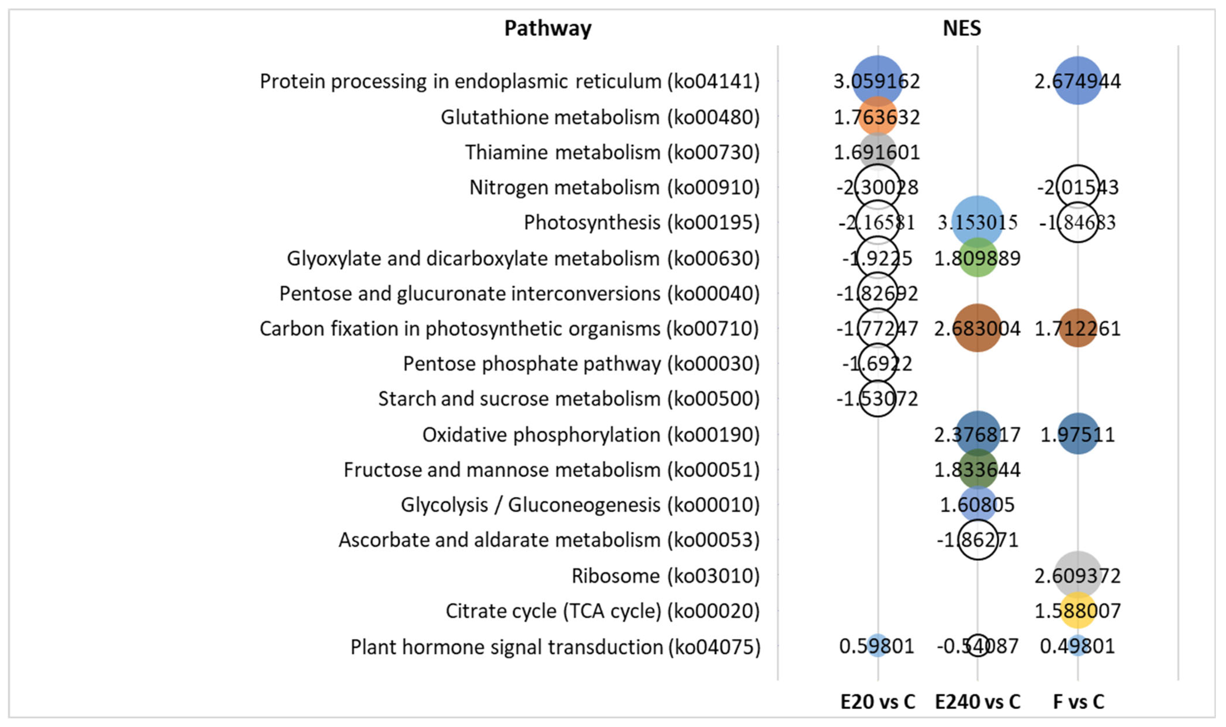 Agronomy 15 00991 g009