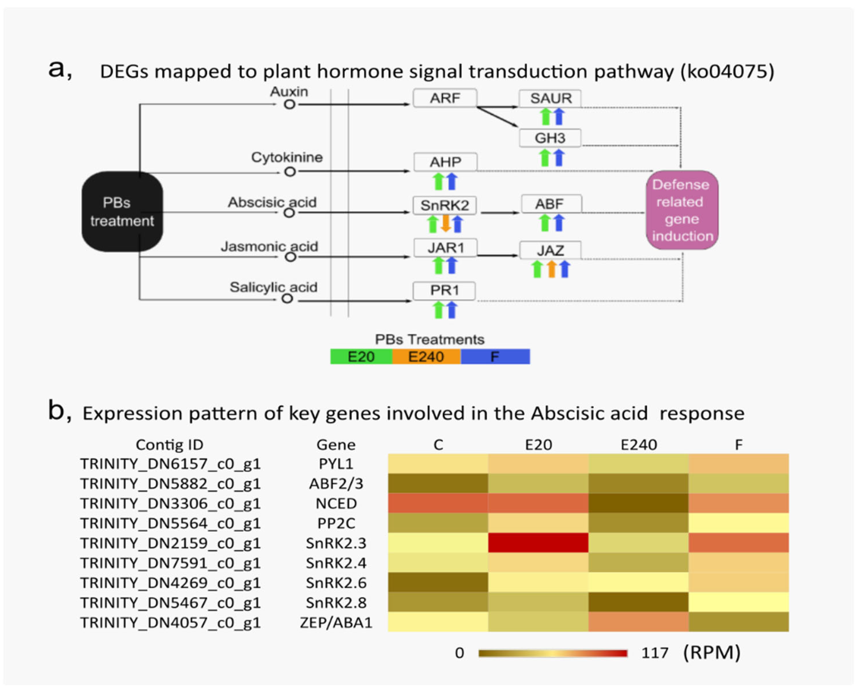 Agronomy 15 00991 g011