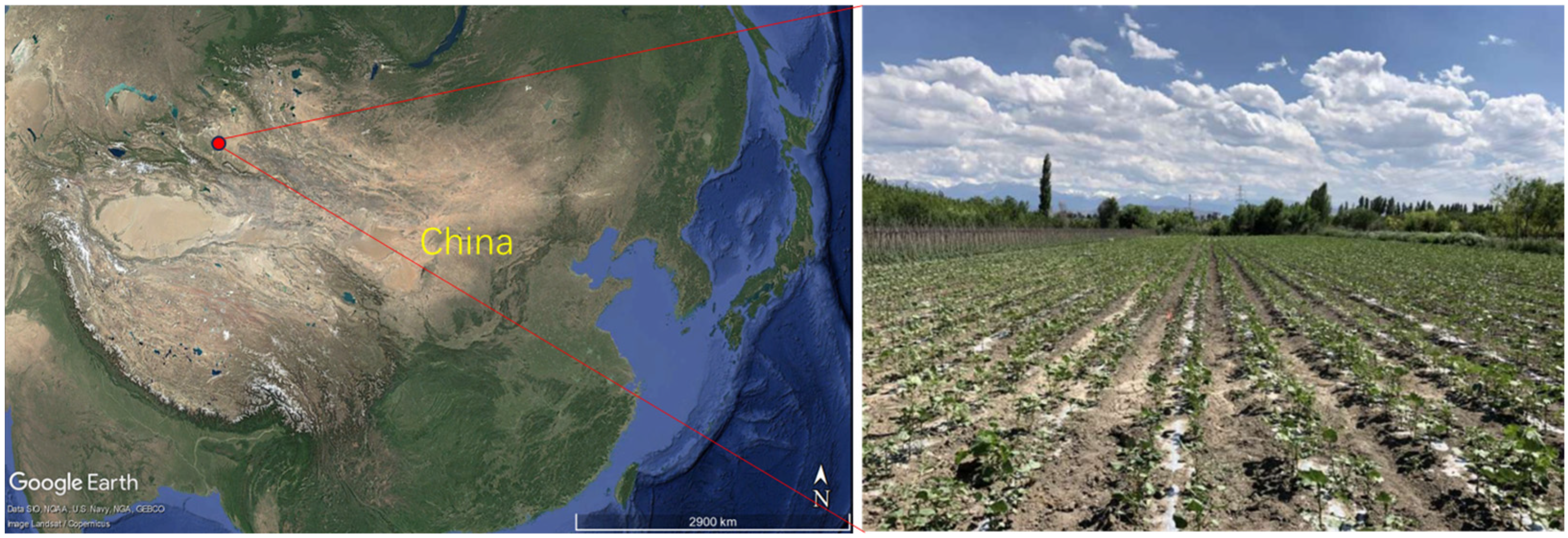 Agronomy 15 00992 g001