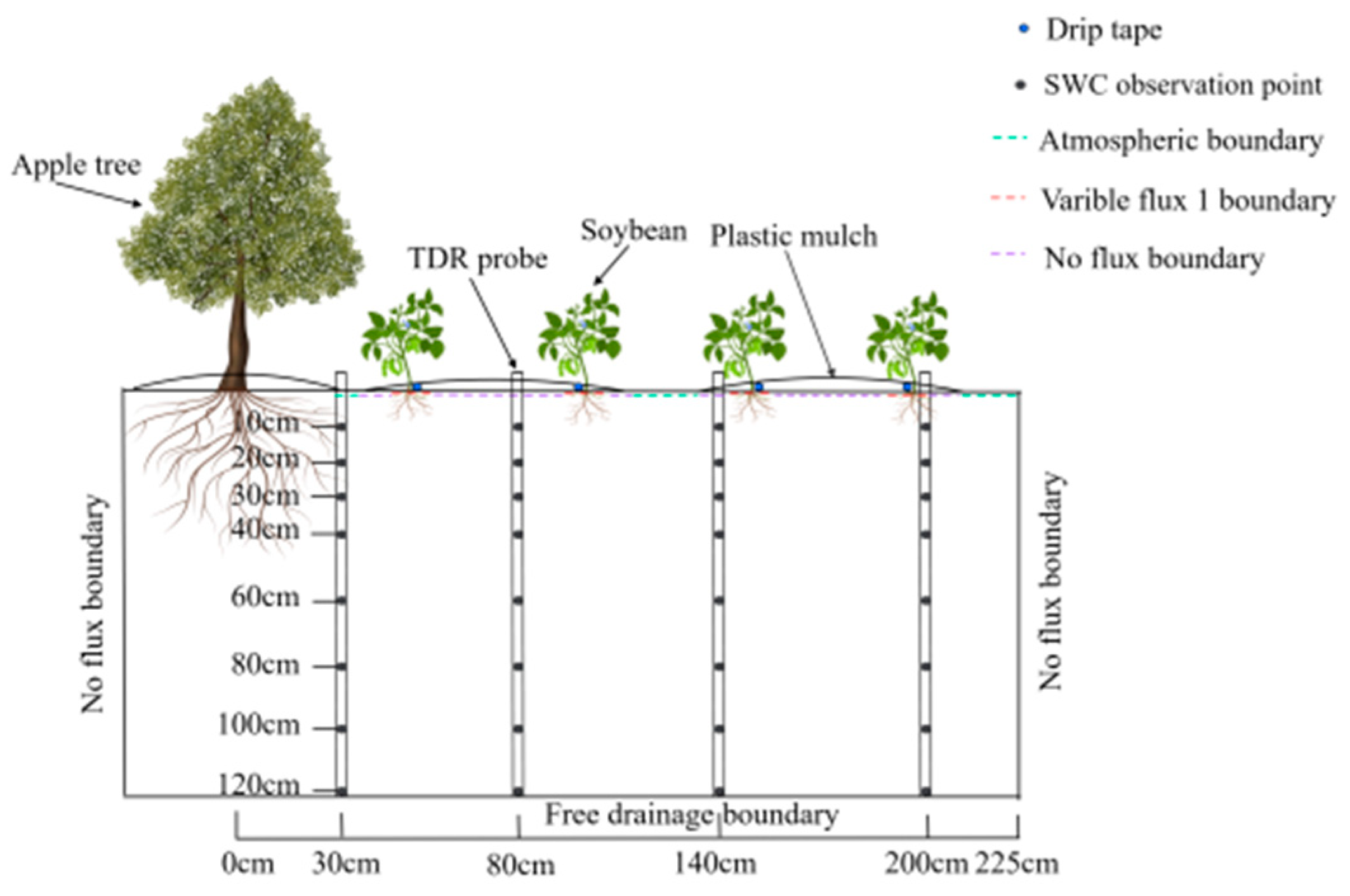 Agronomy 15 00993 g003