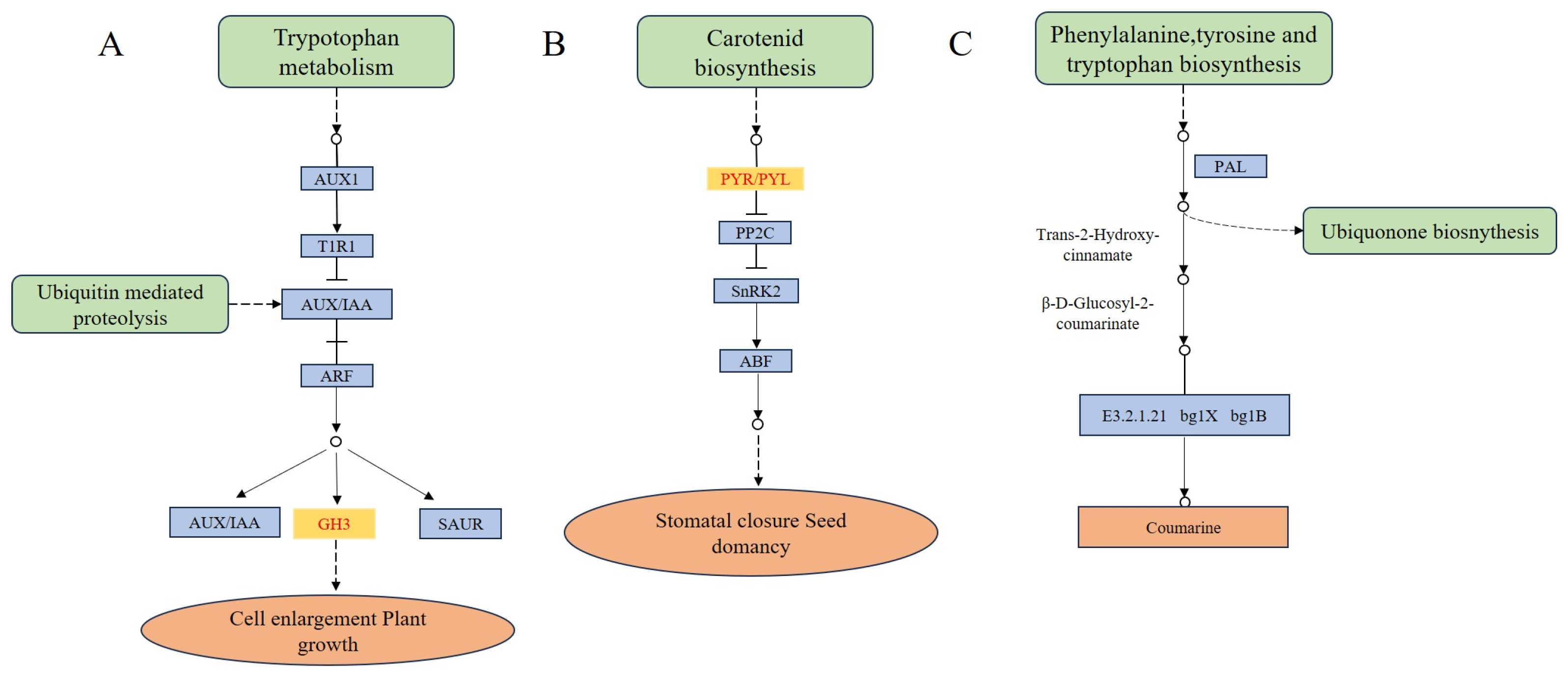 Agronomy 15 00997 g005