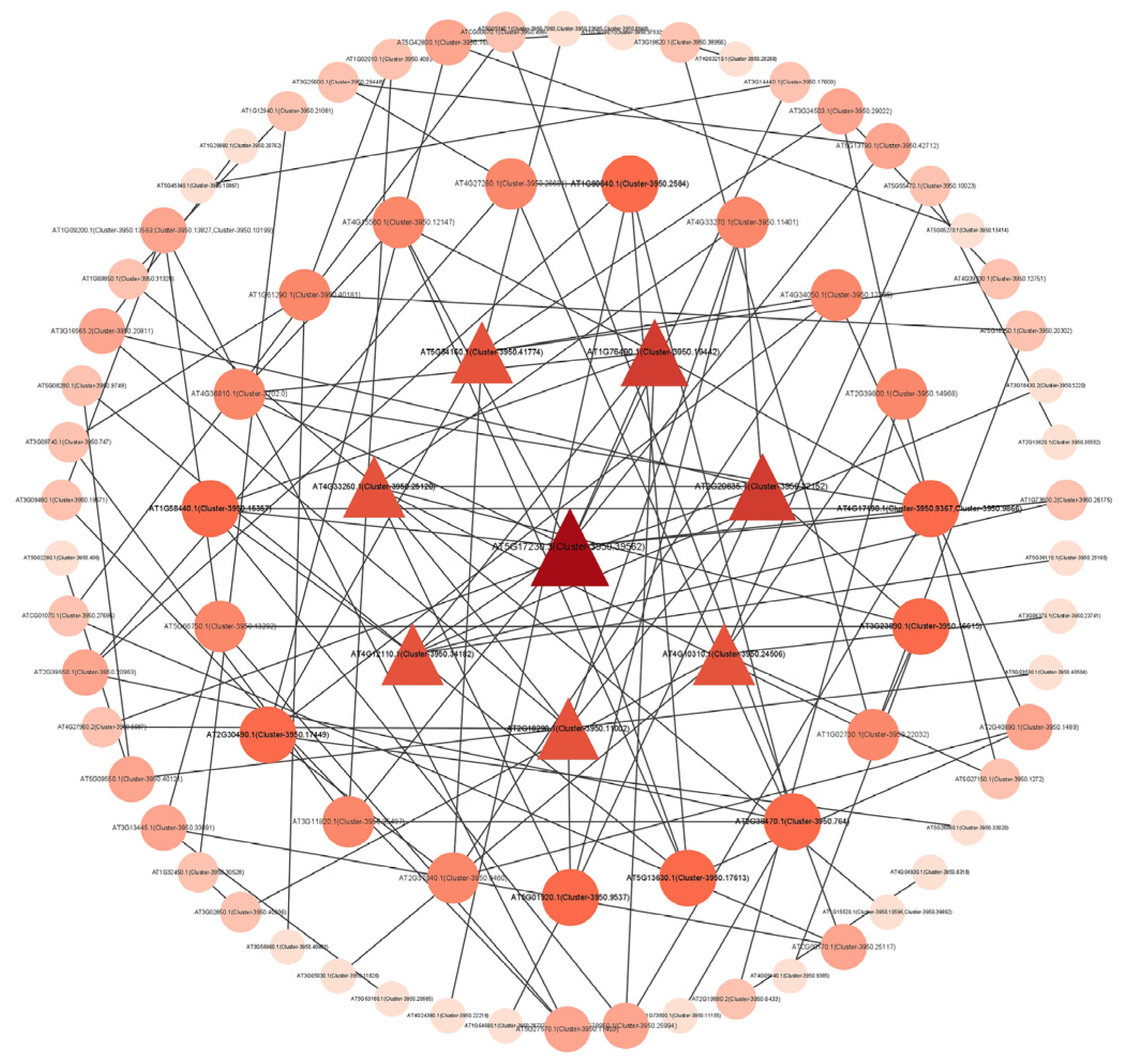 Agronomy 15 00997 g006