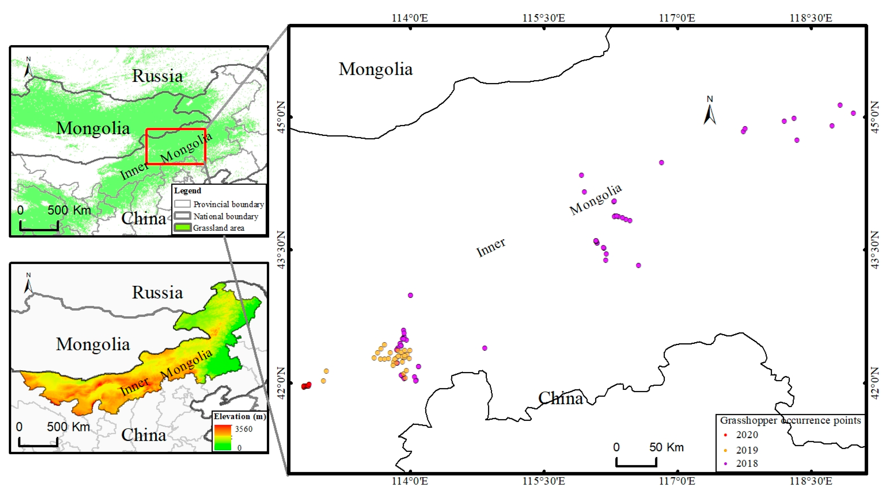 Agronomy 15 00998 g001