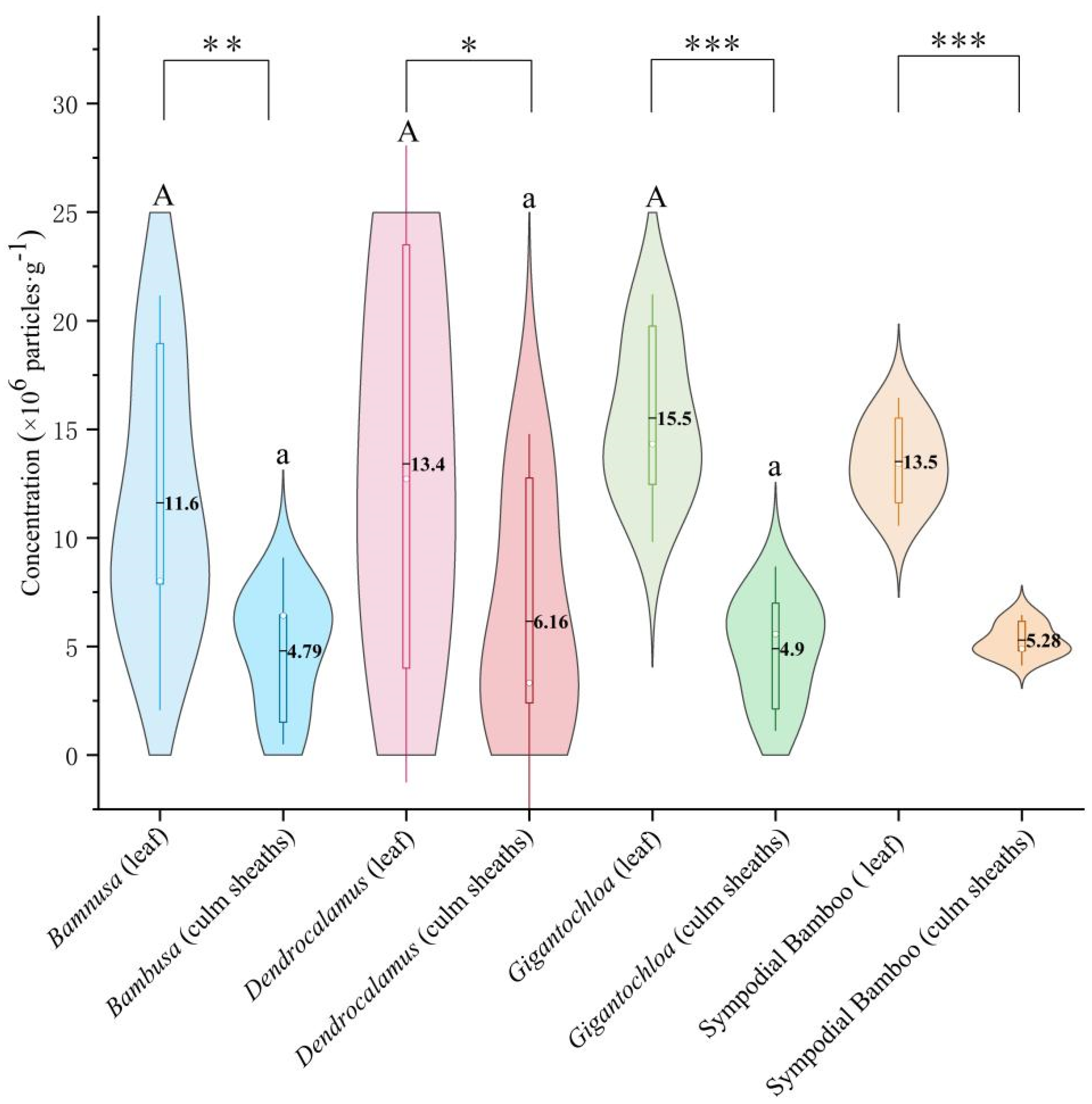 Agronomy 15 00999 g002