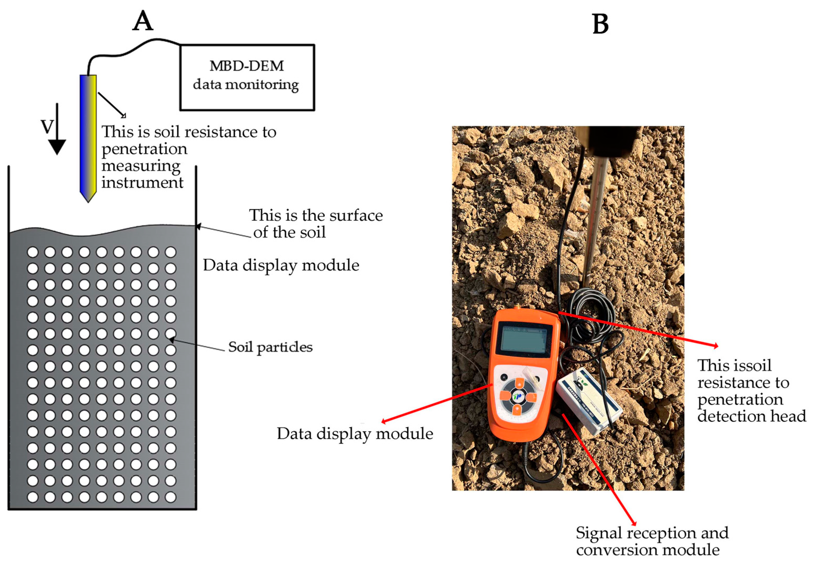 Agronomy 15 01002 g005