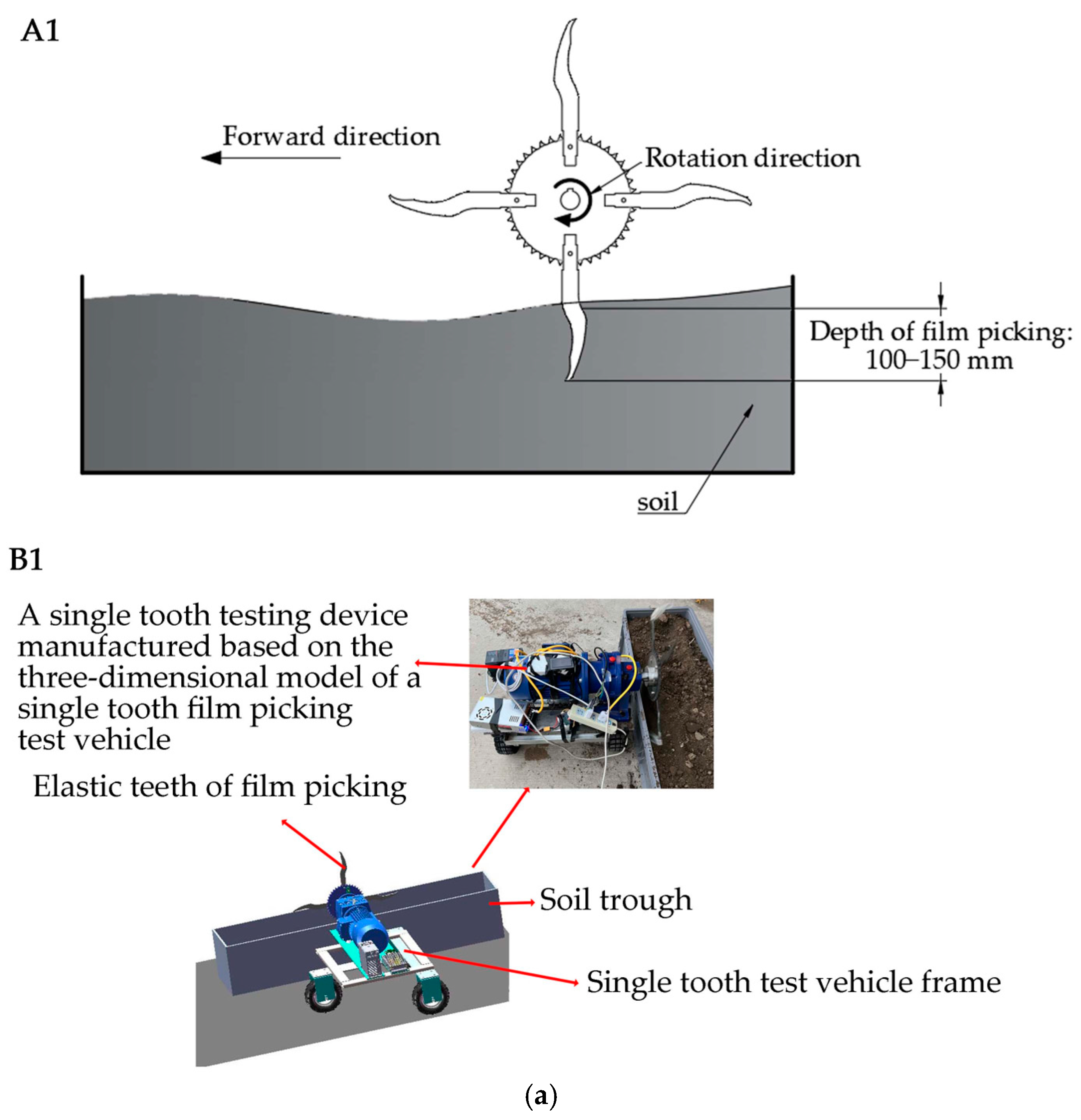 Agronomy 15 01002 g006a