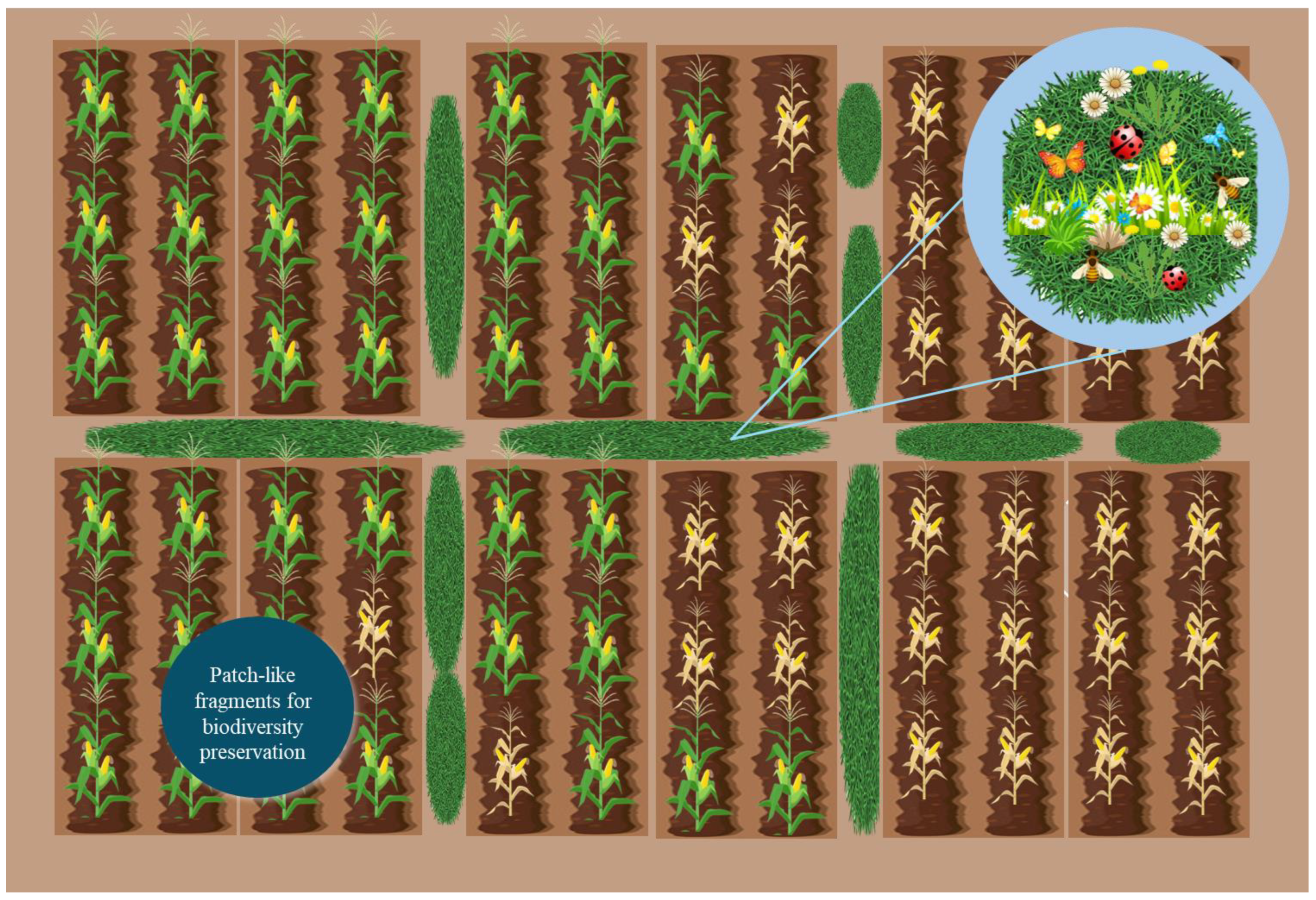 Agronomy 15 01003 g003