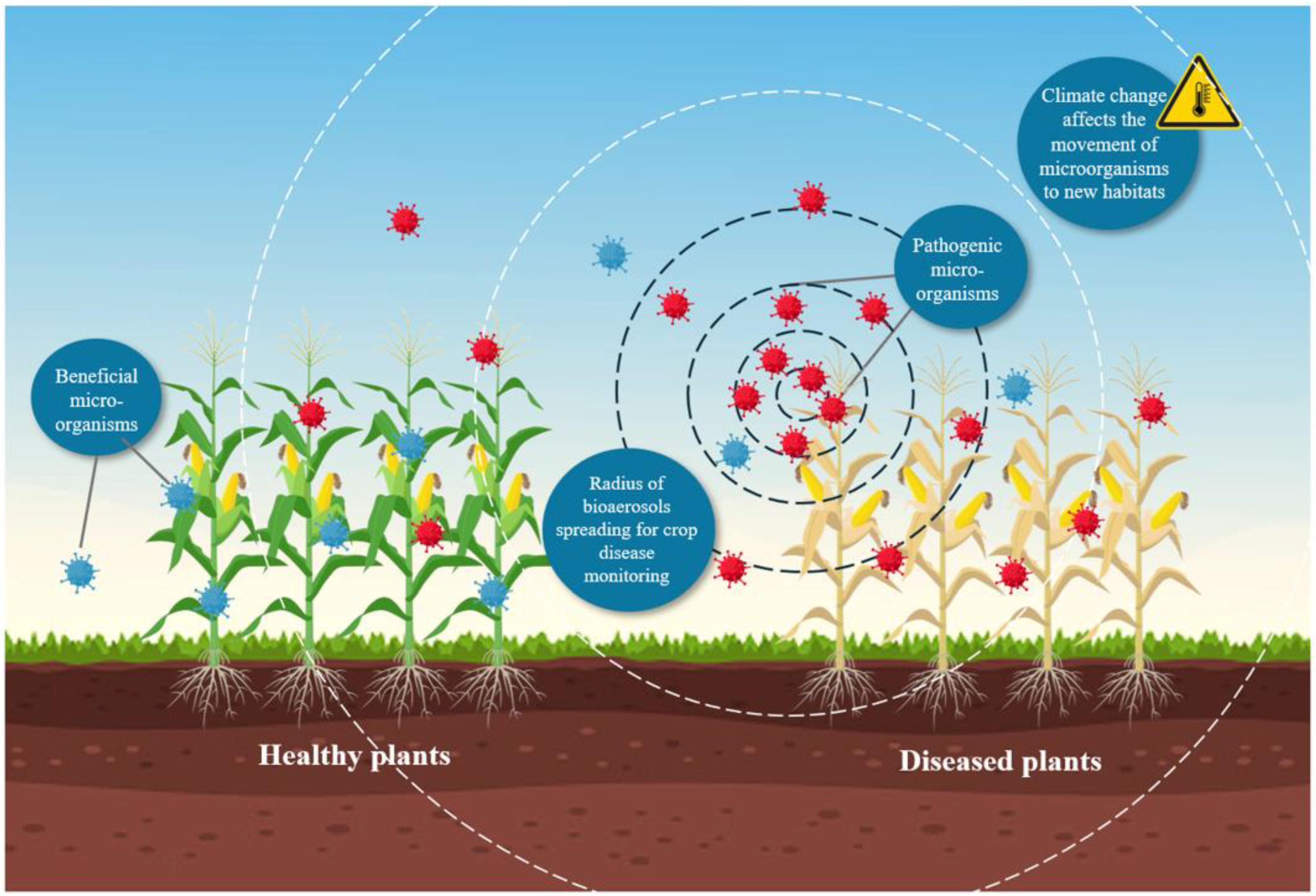 Agronomy 15 01003 g004